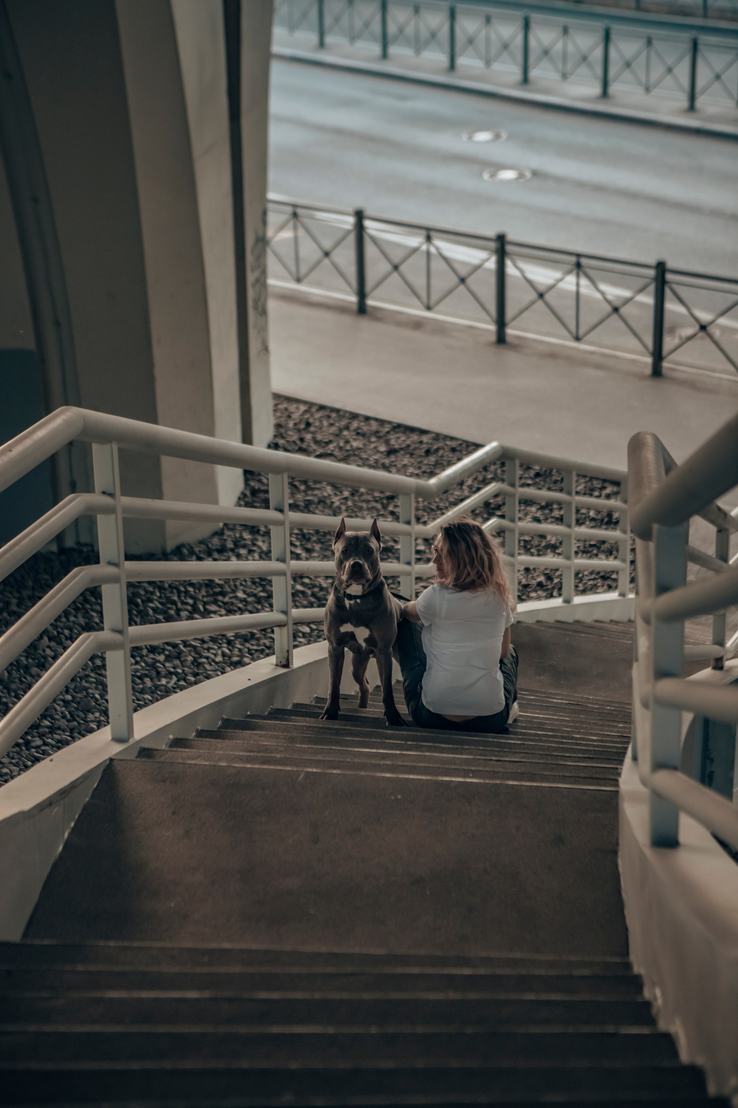 Юнна и Дик. Фотограф-анималист в Санкт-Петербурге Алина Яхонт