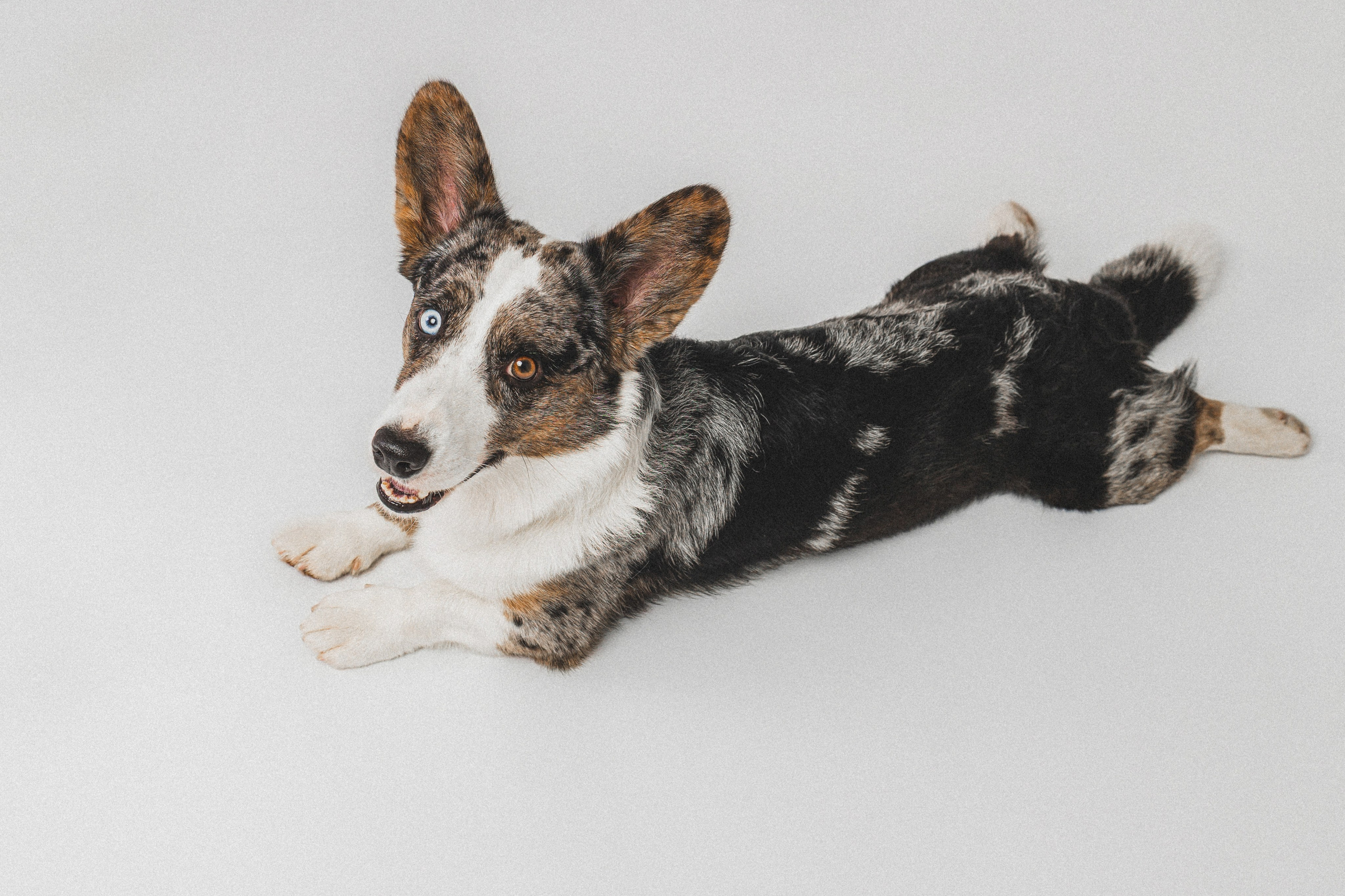 Анатолий и Рагнар