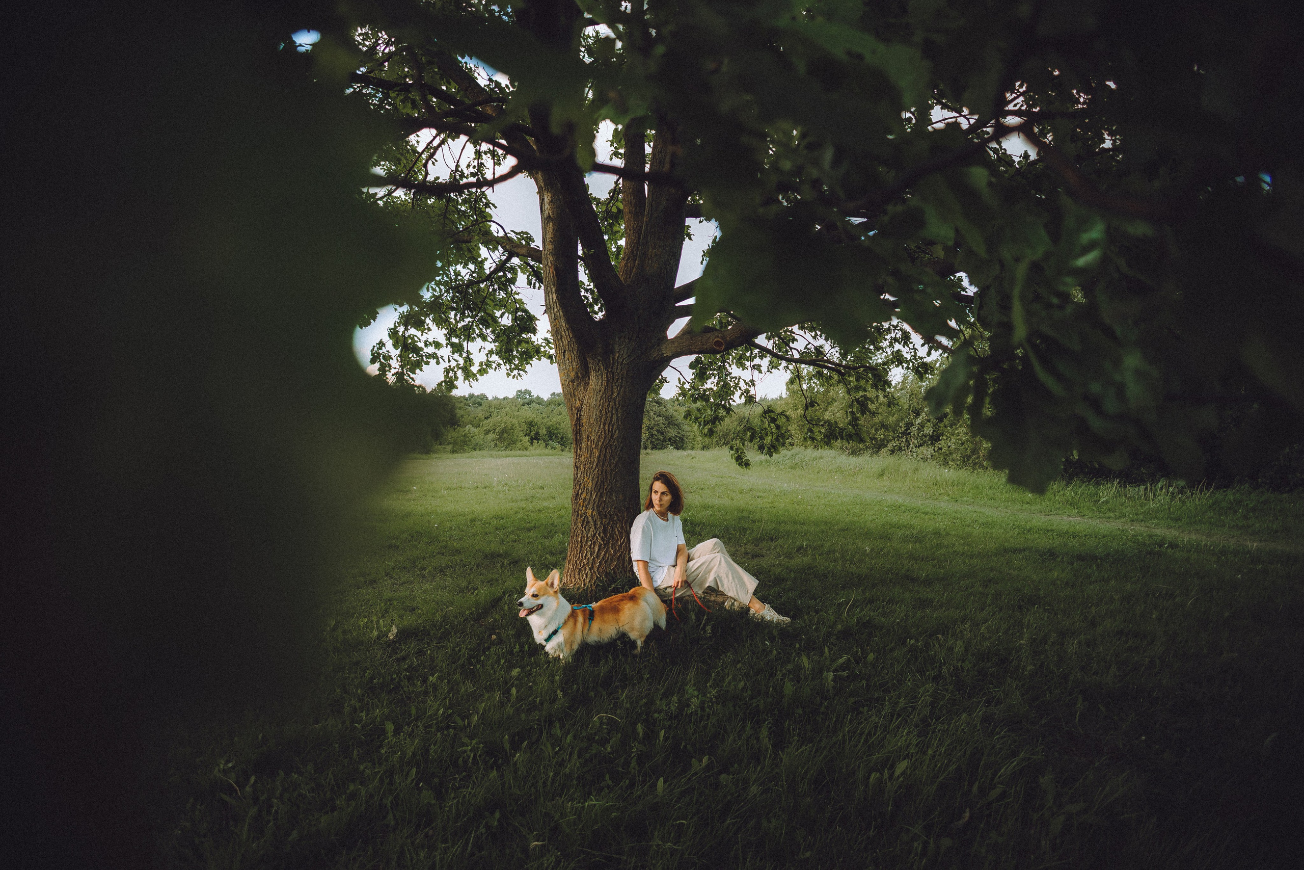 Вирджик и его семья