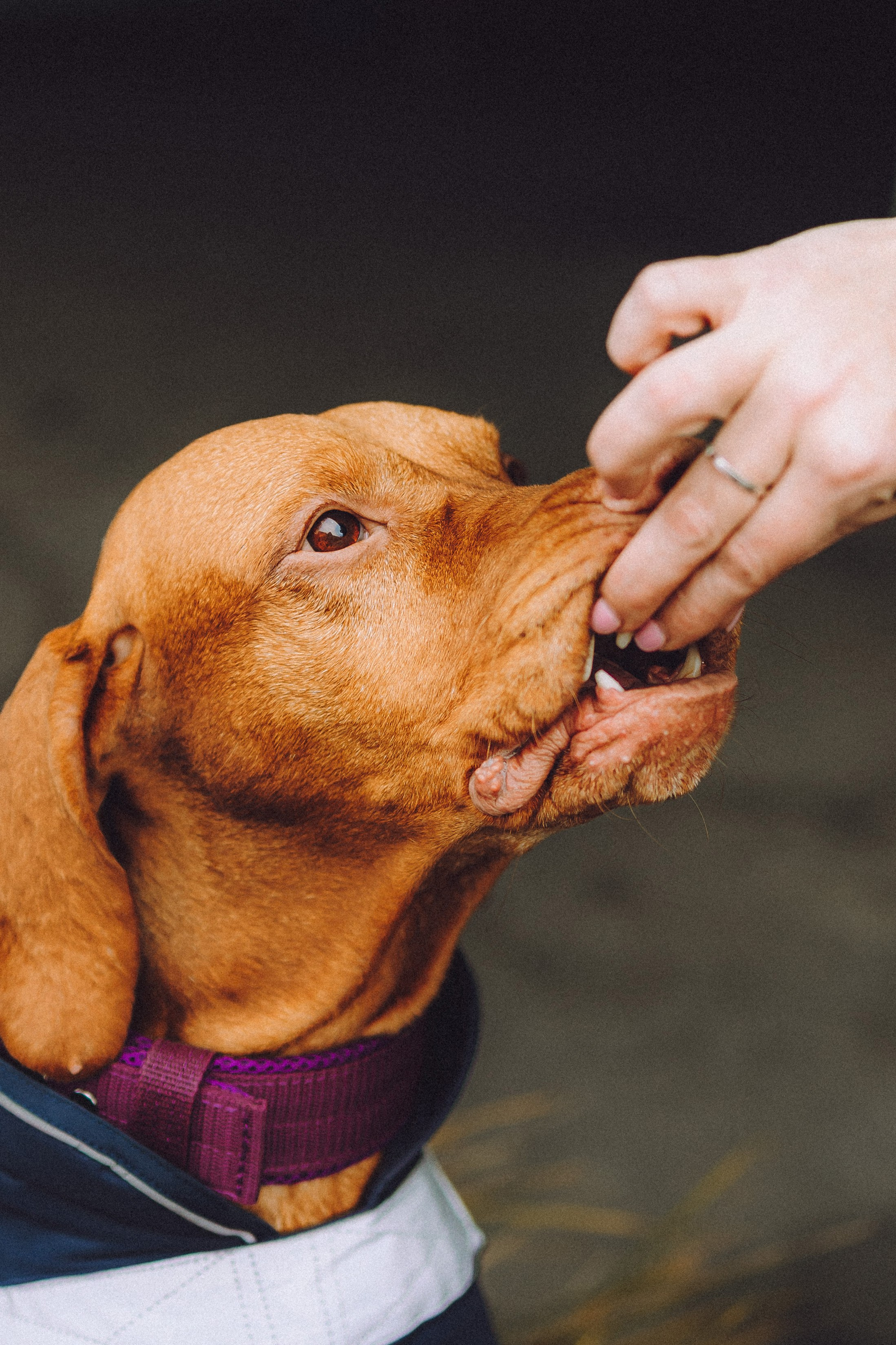 Екатерина и Даня