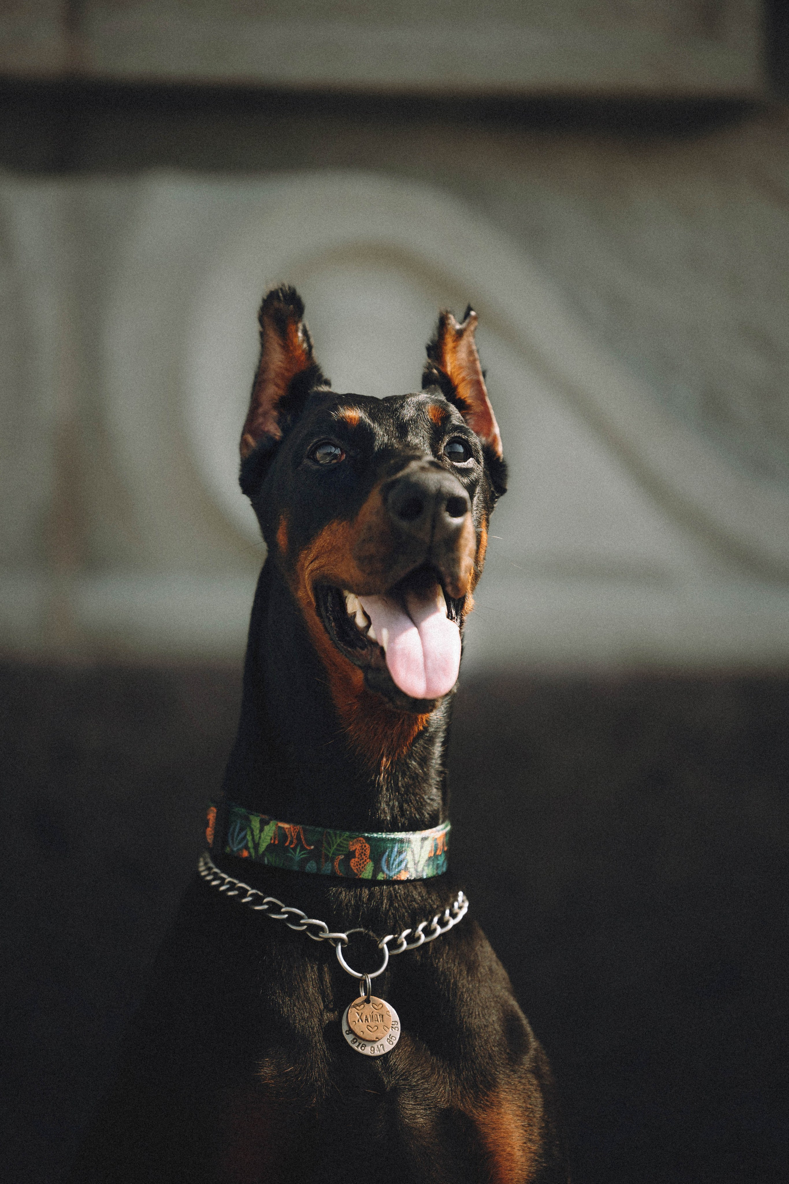 Паша и Хайди