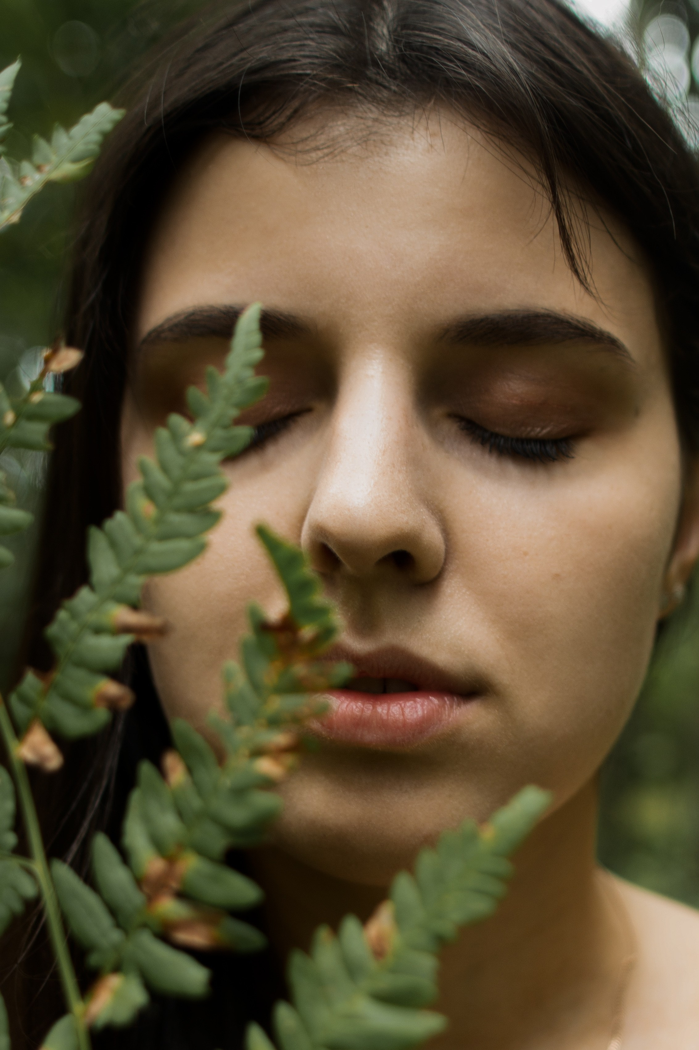 Папоротник. Фотограф Москва