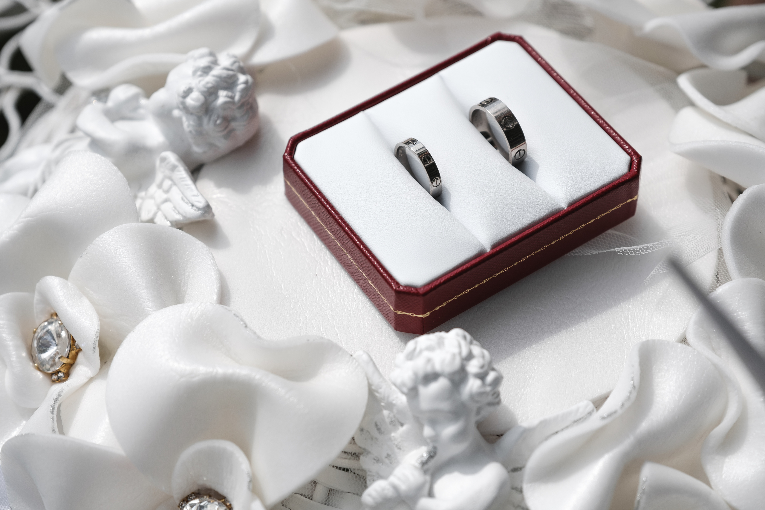 Прогулка Олеси и Вадима (узнали звездных гостей?). Профессиональный фотограф Николай Рождественский. Москва, Омск, Тюмень