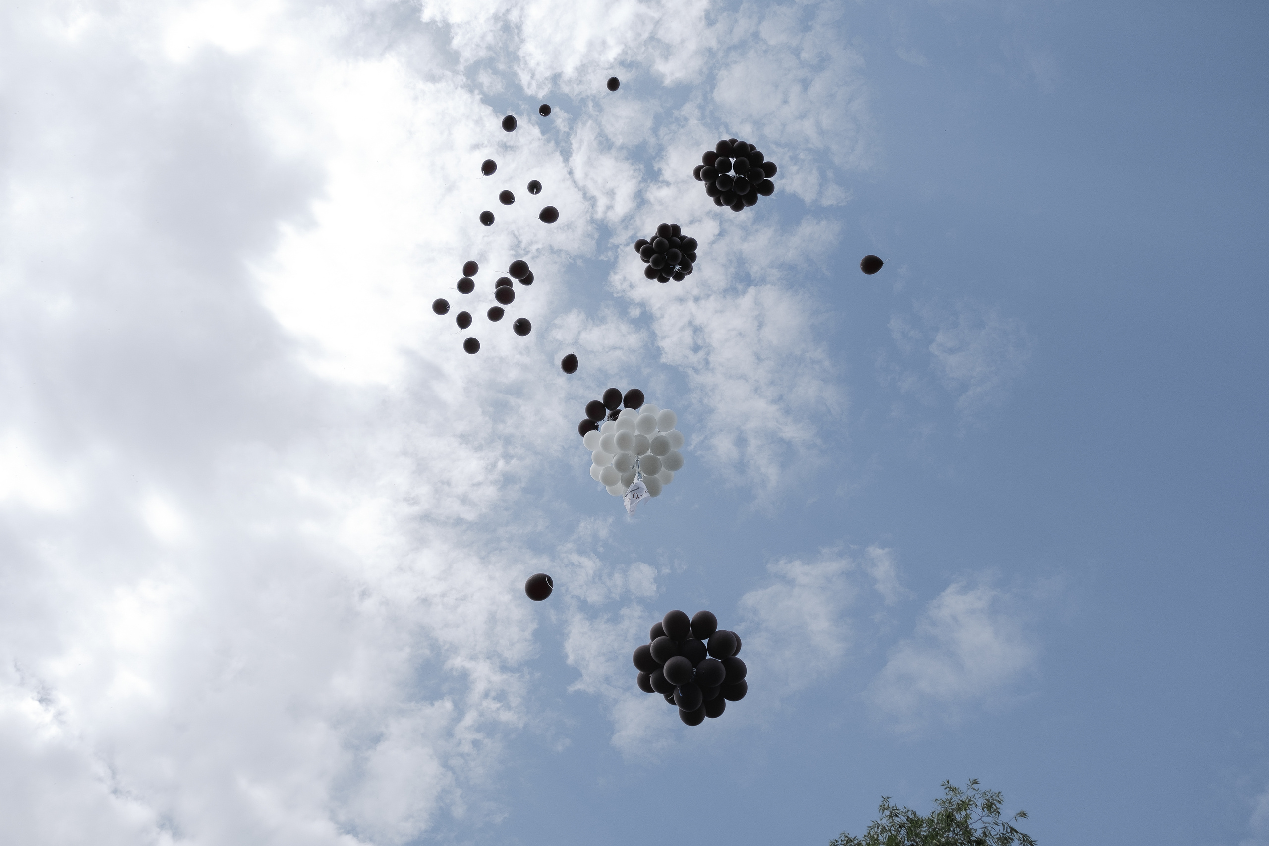 Прогулка Олеси и Вадима (узнали звездных гостей?). Профессиональный фотограф Николай Рождественский. Москва, Омск, Тюмень