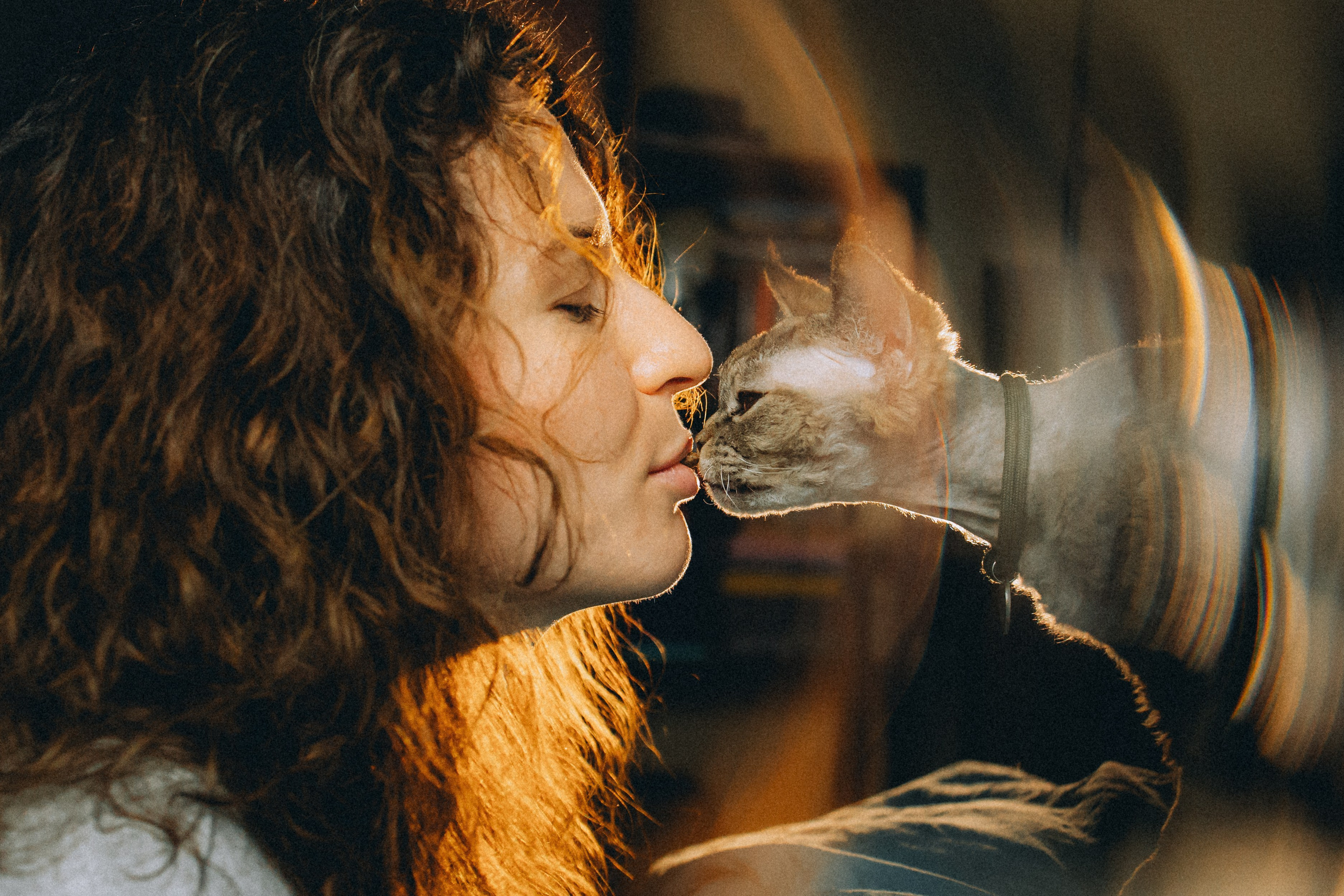 Гречка, Ковш и их семья