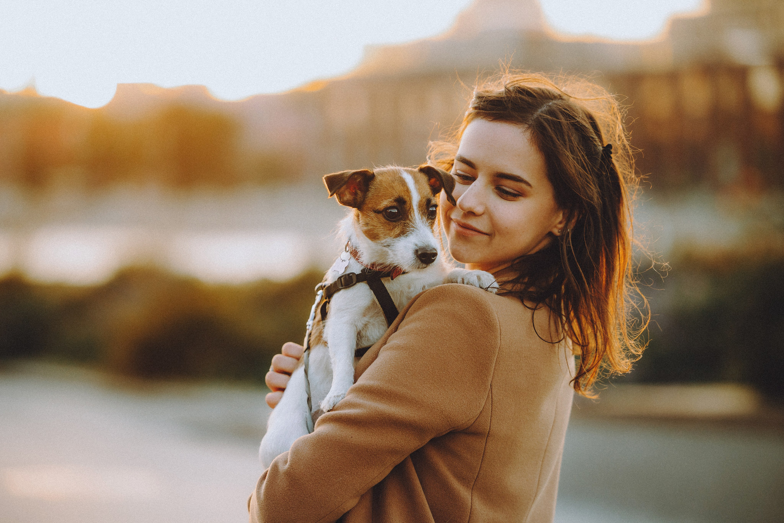 Как я выбираю, на какой объектив снимать животных?