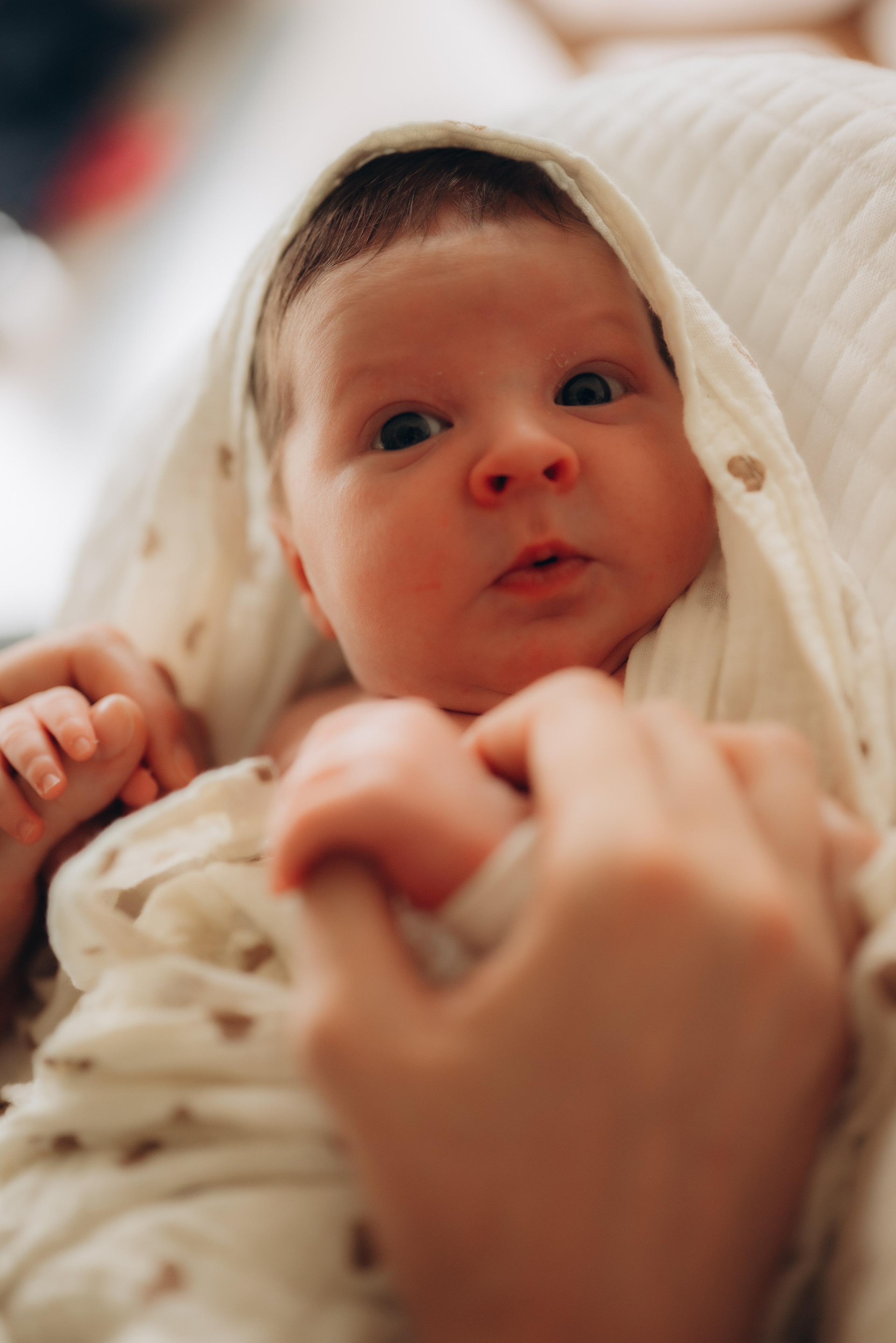 Аня и Артур. Семейный фотограф в Москве Дарья Пузикова