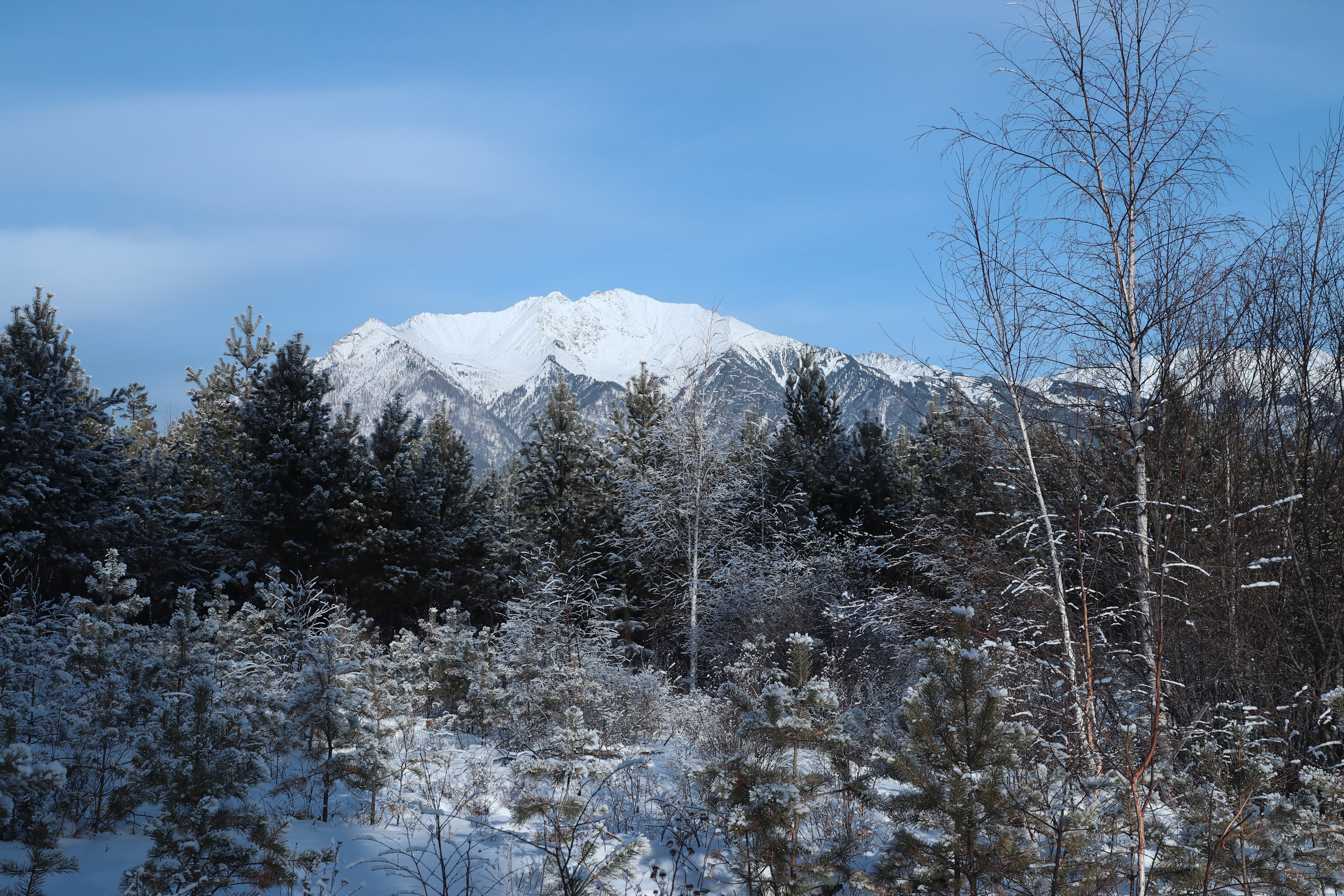 Аршан. Январь 2024. Путешественник-фотограф из Санкт-Петербурга Татьяна Свистулина
