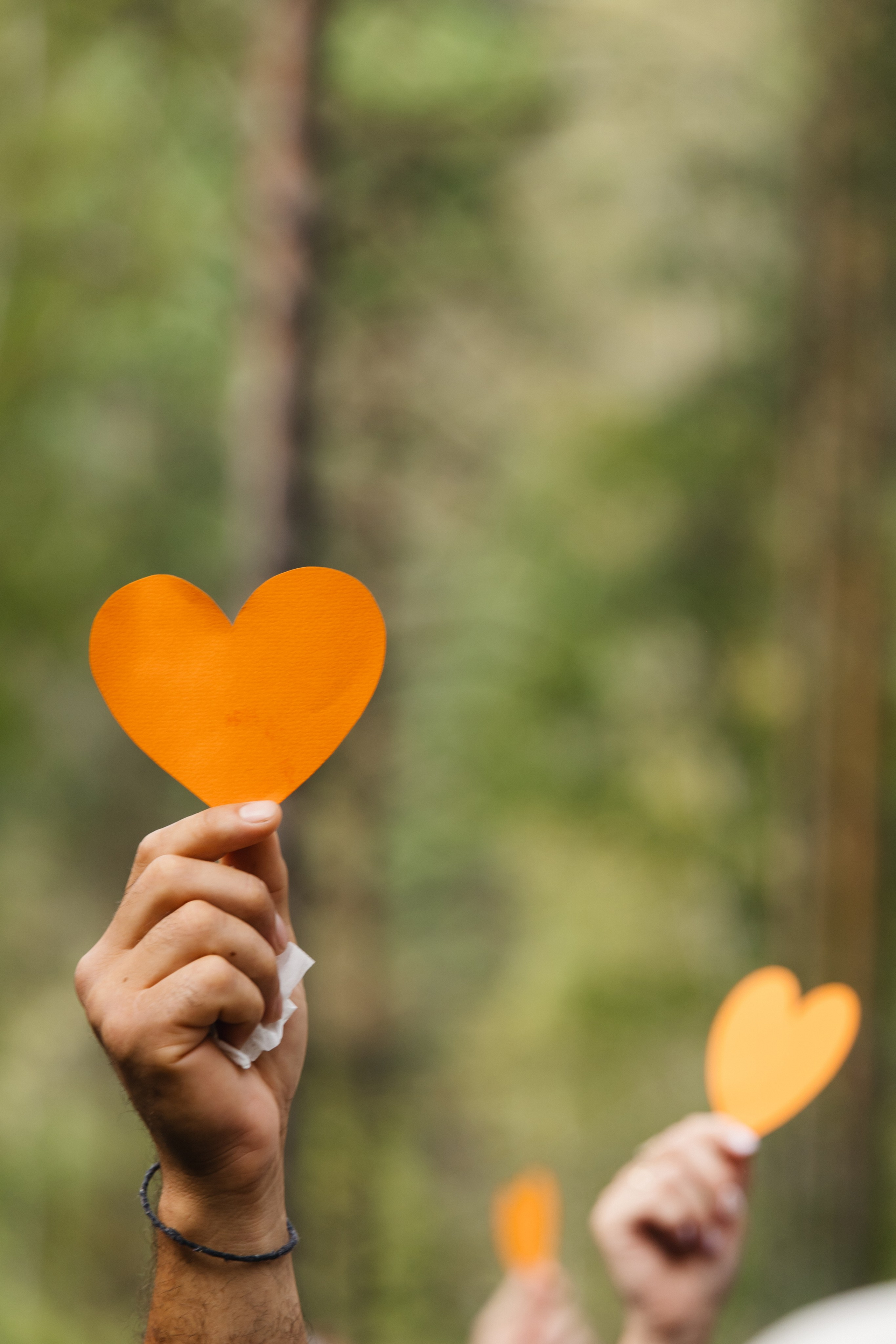 Данил и Даша. Организатор Романова Любовь