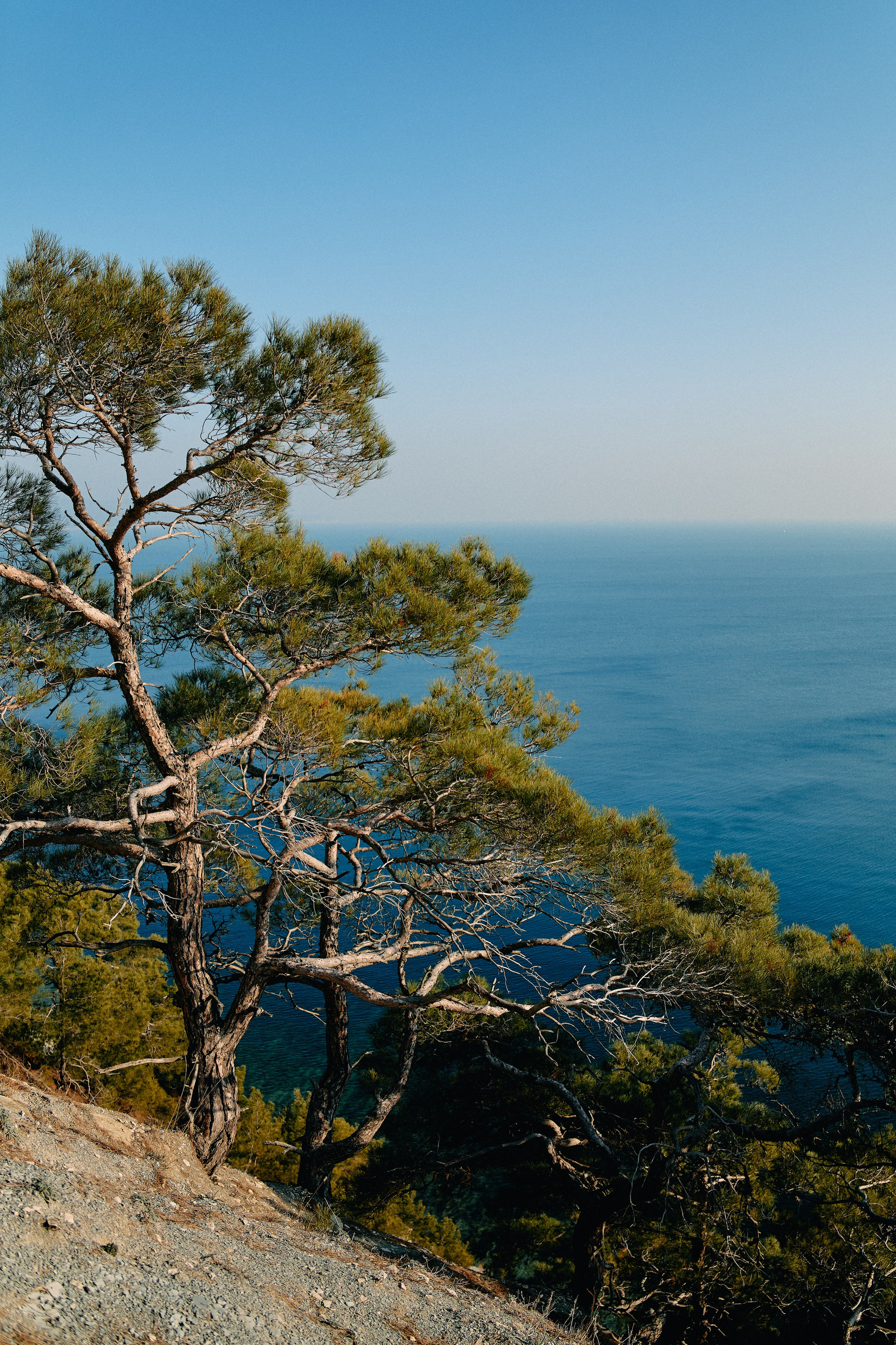 Юг России. Профессиональный Фотограф во Владимире, в Москве и в Суздале — Полина Романычева