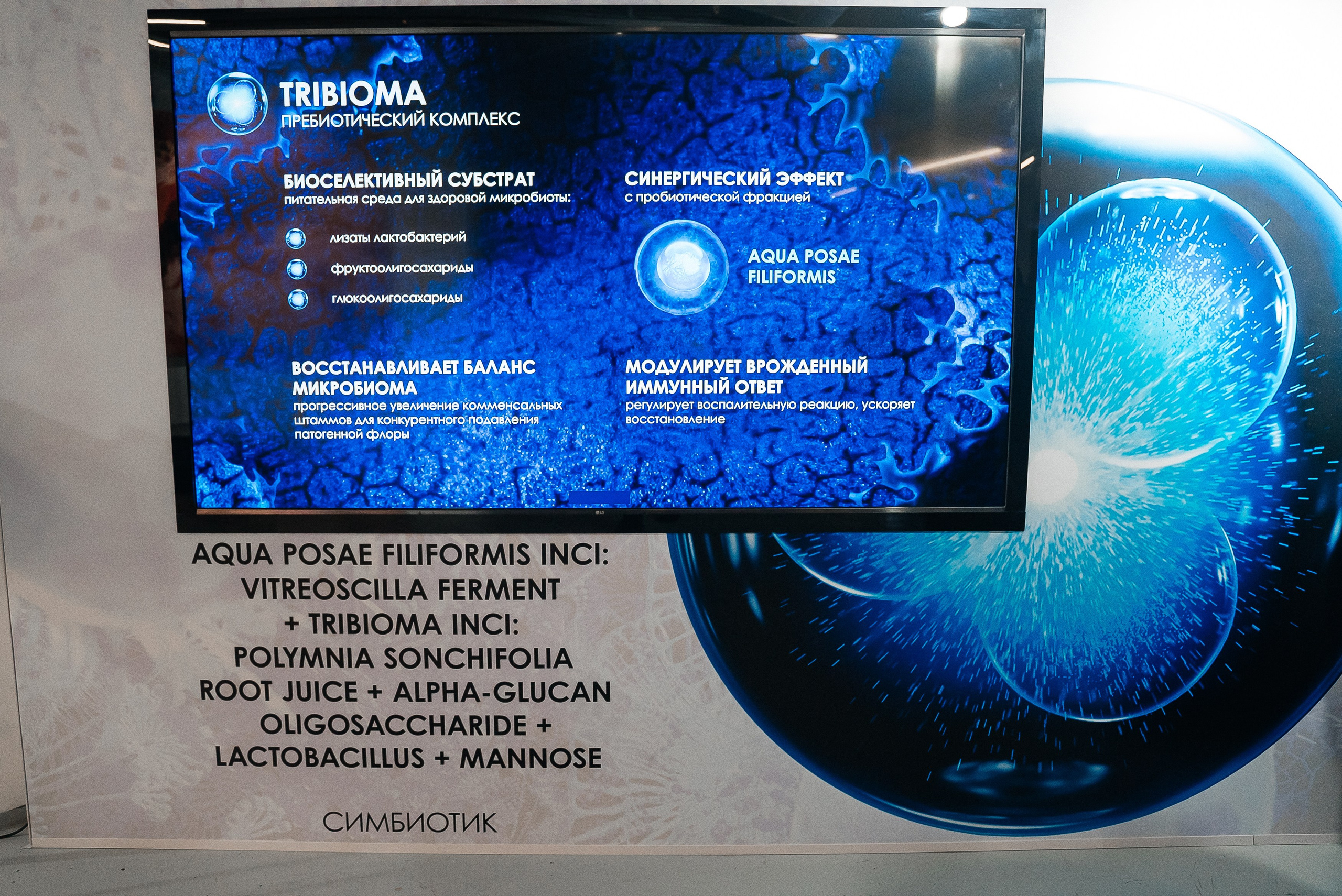 La Roche Posay. Павел Краснов — Свадебный и репортажный фотограф в Москве