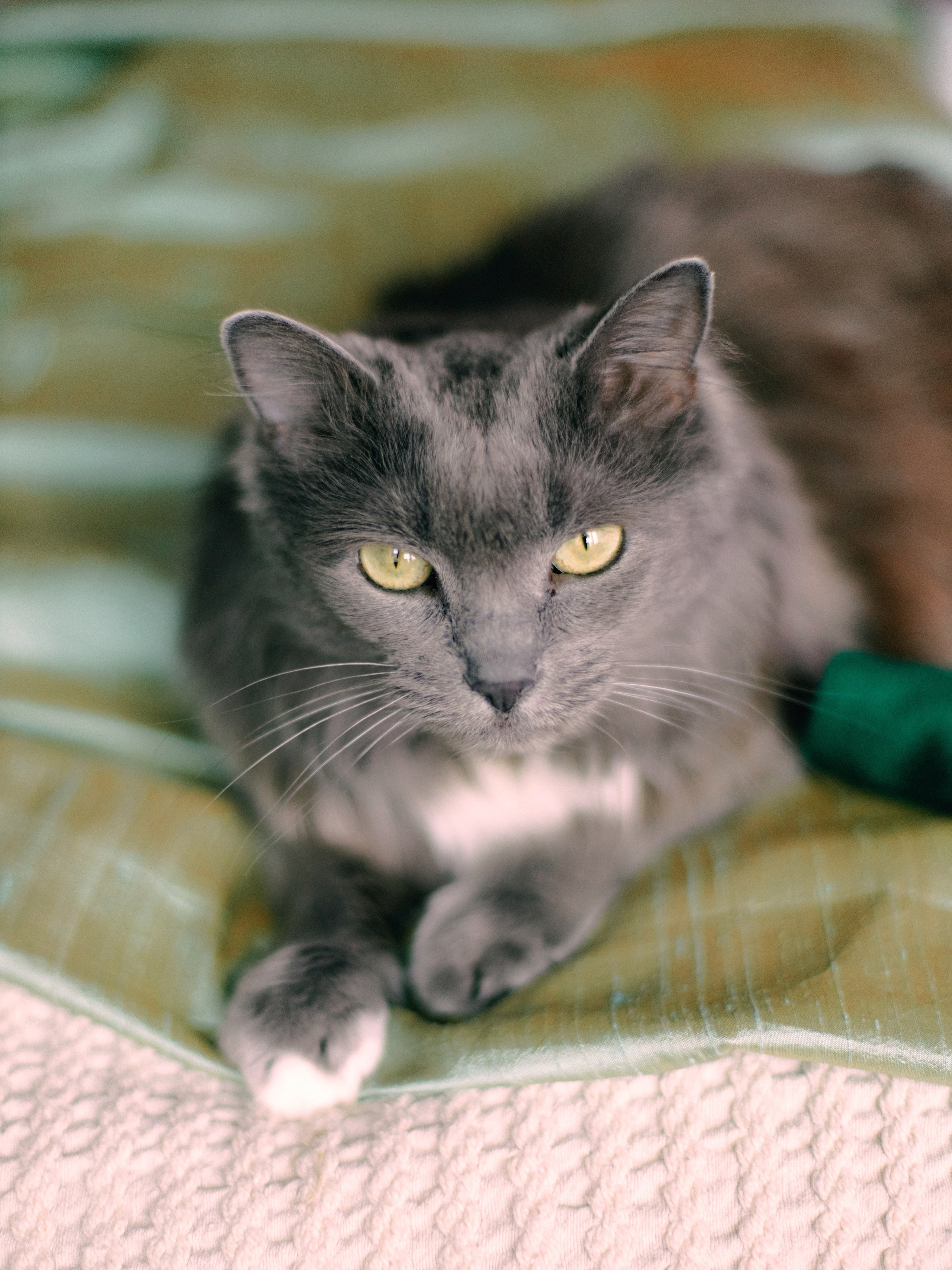 Аленка. Профессиональный Фотограф во Владимире, в Москве и в Суздале — Полина Романычева