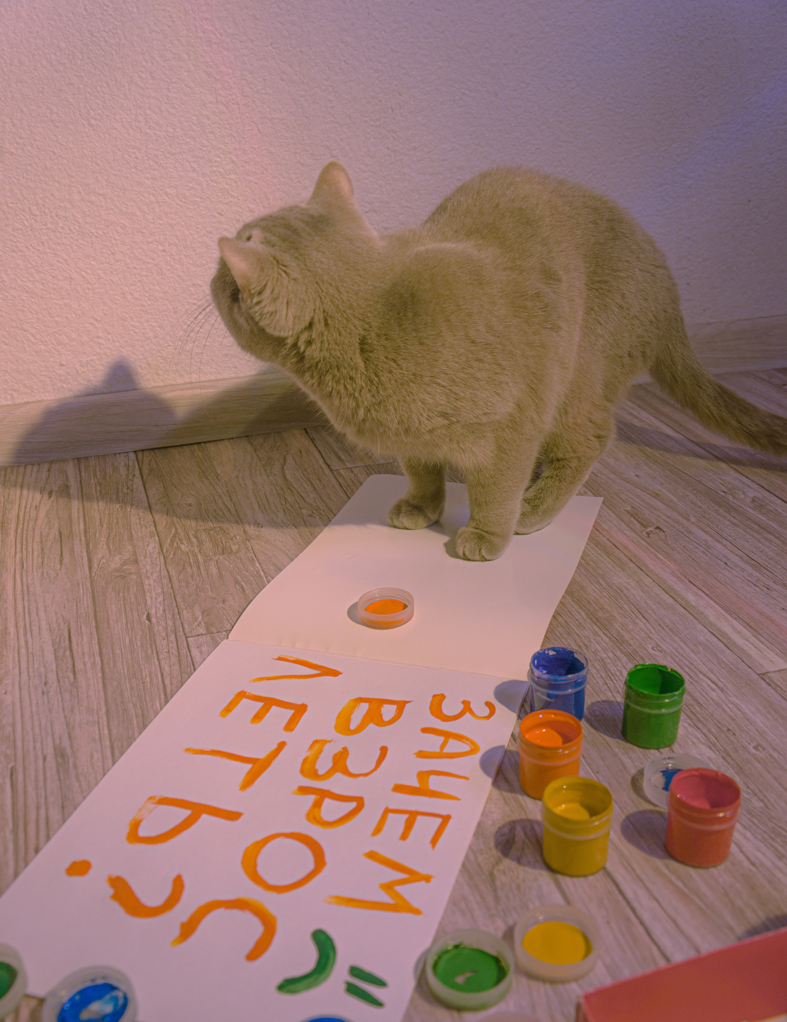 ЗАЧЕМ ВЗРОСЛЕТЬ?. Photographer Barcelona