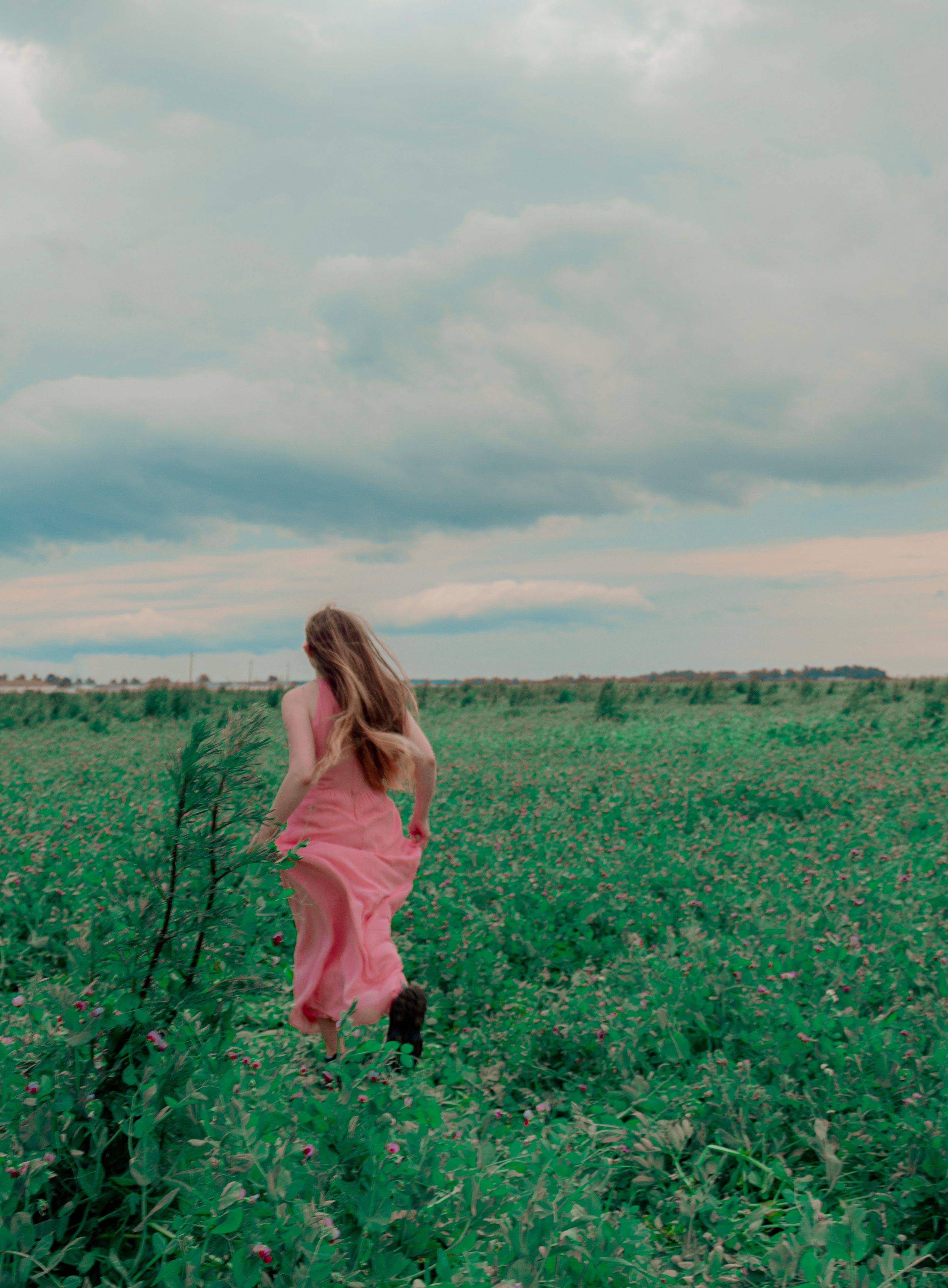 The elf whith the violin. Photographer Barcelona