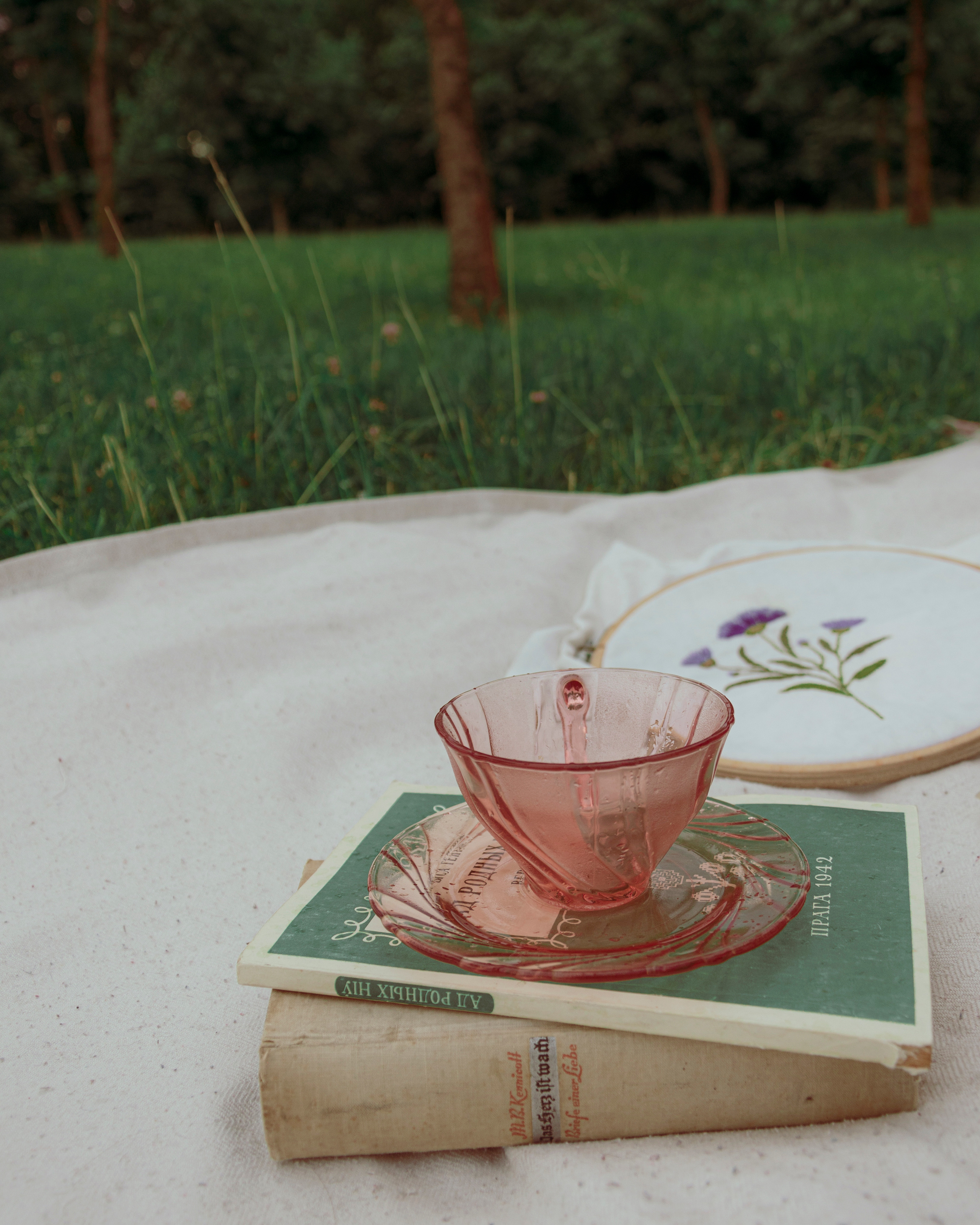 Cottage core picnic. Photographer Barcelona