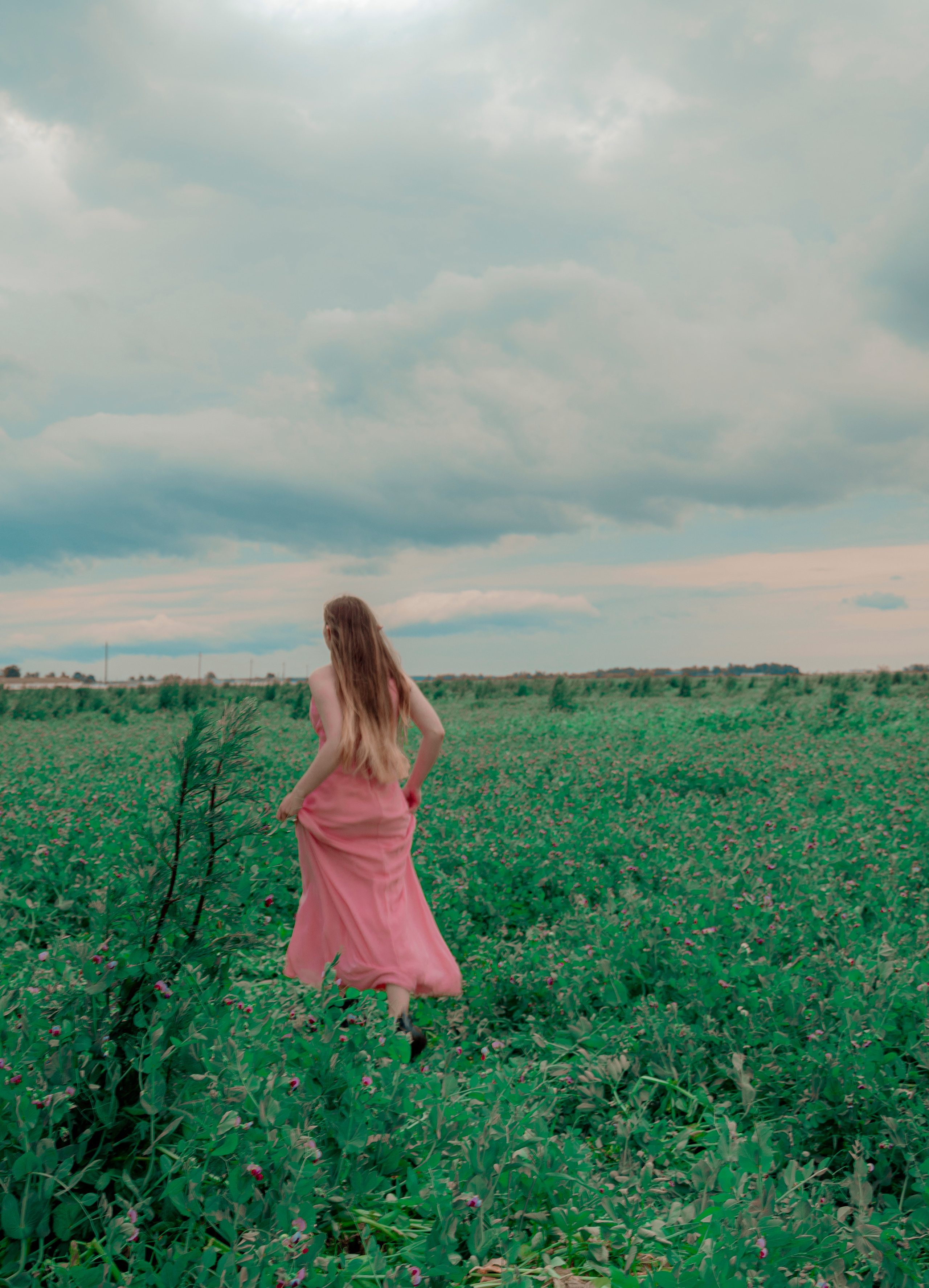 The elf whith the violin. Photographer Barcelona