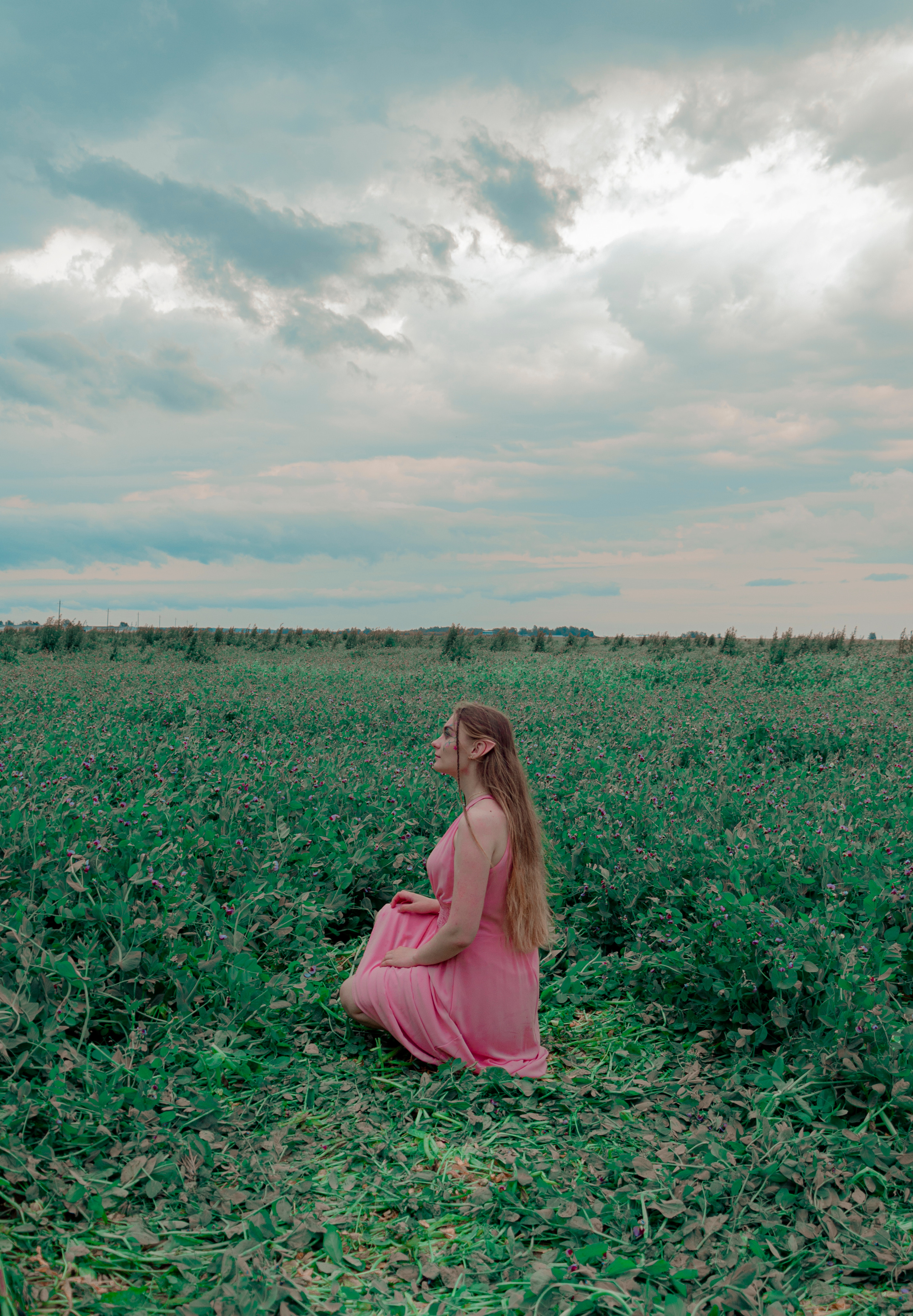 The elf whith the violin. Photographer Barcelona