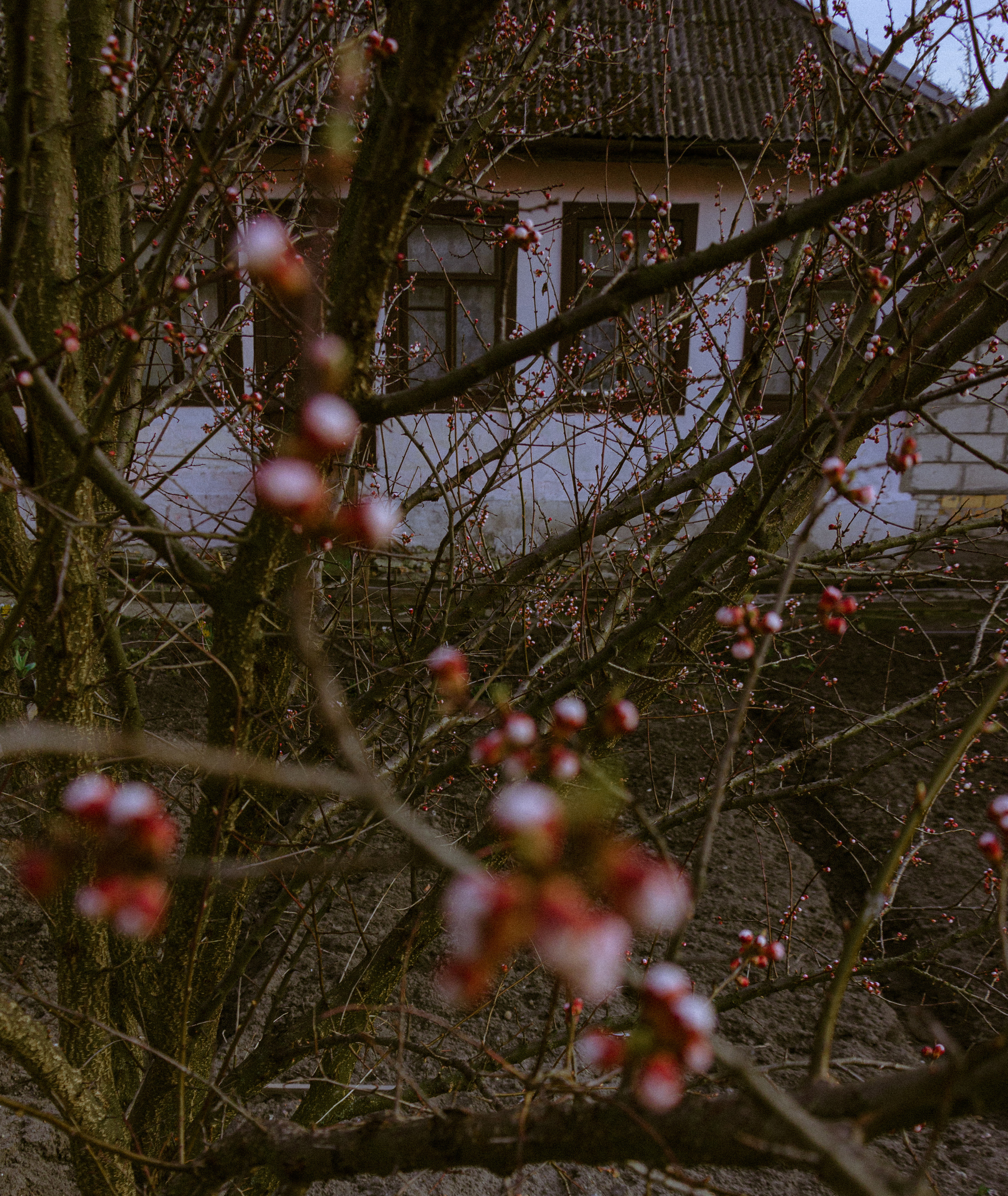 КУДА УХОДИТ ДЕТСТВО?. Photographer Barcelona