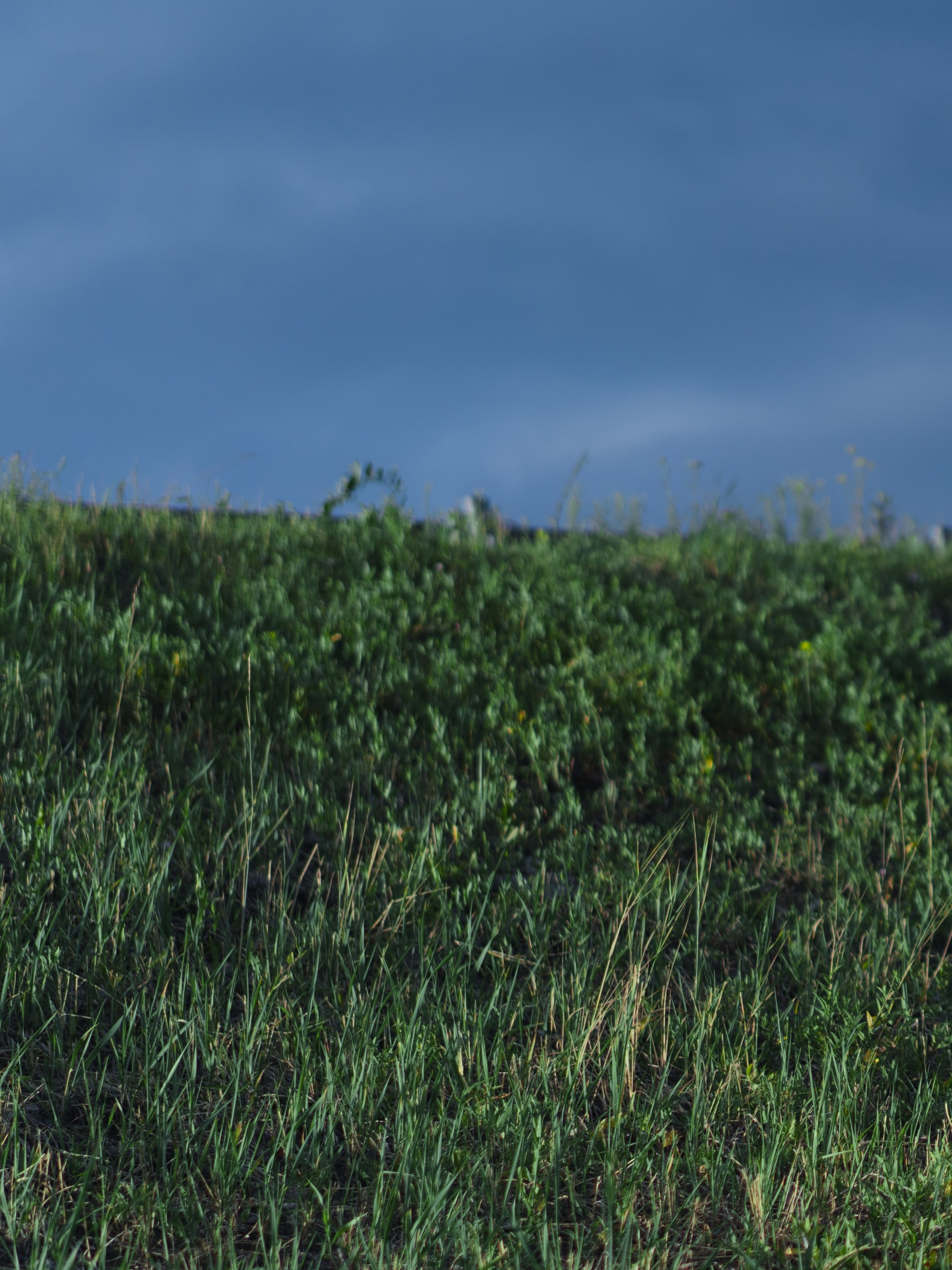 Истории. Фотограф Тюмень Александра Кондратьева