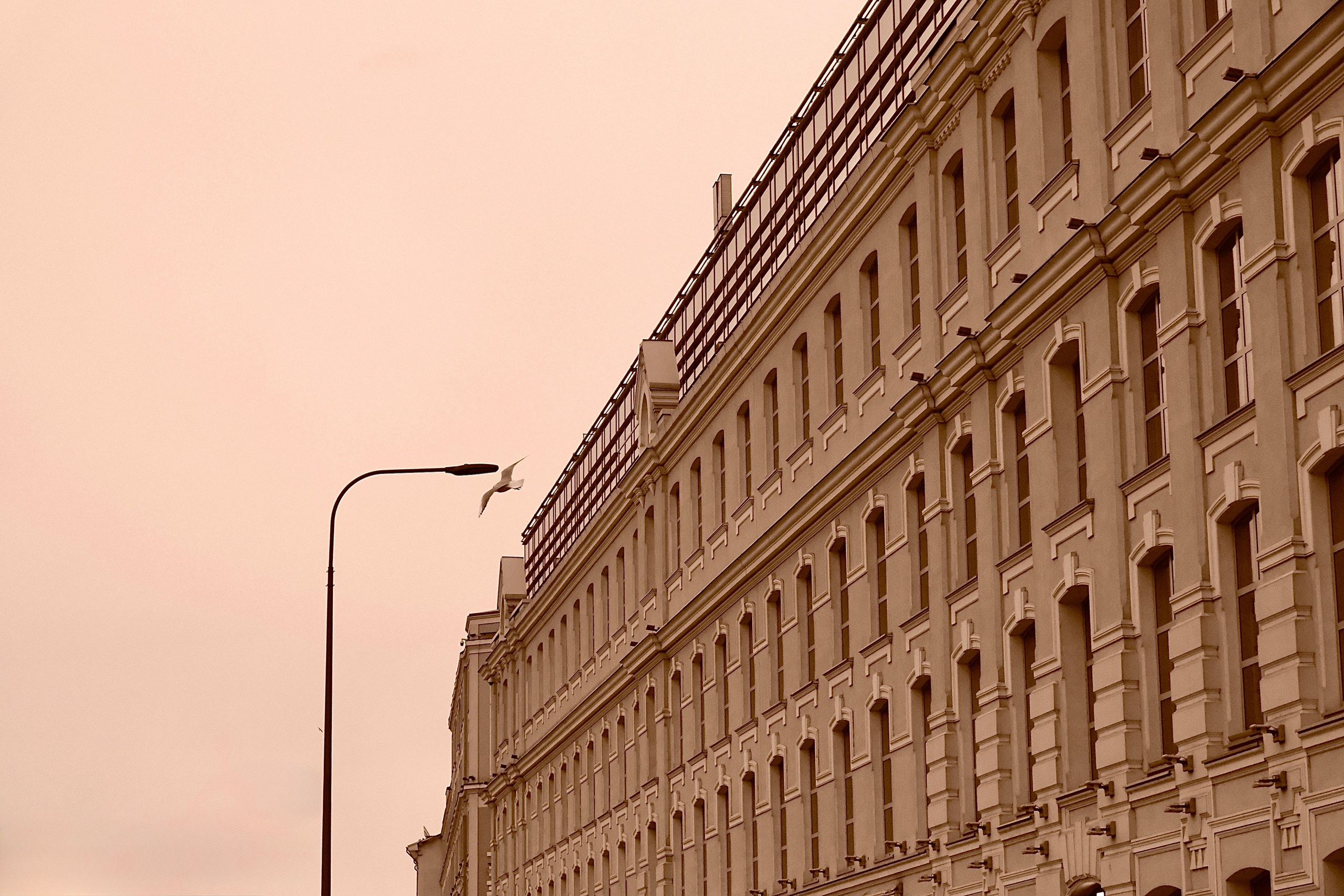 Храмы и здания. Фотограф и художник в Москве Евгения Нюнина
