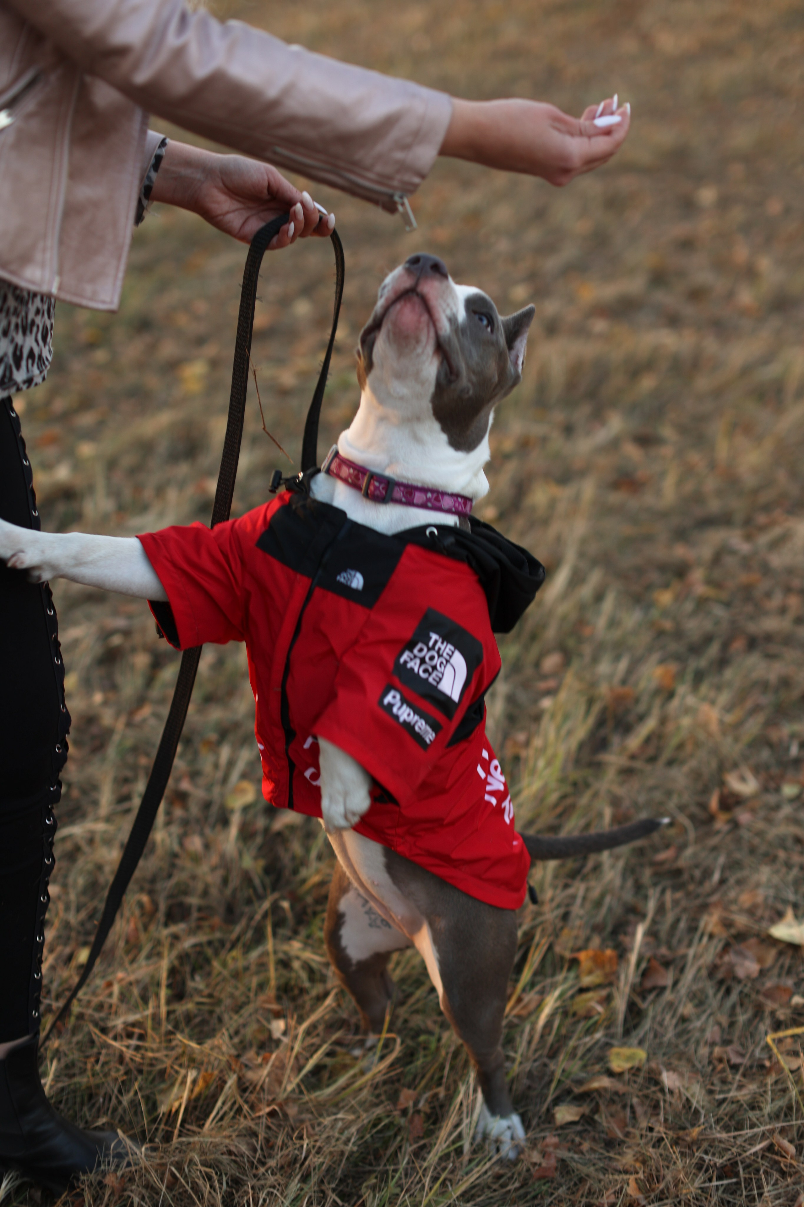 Осень. Art my Pho