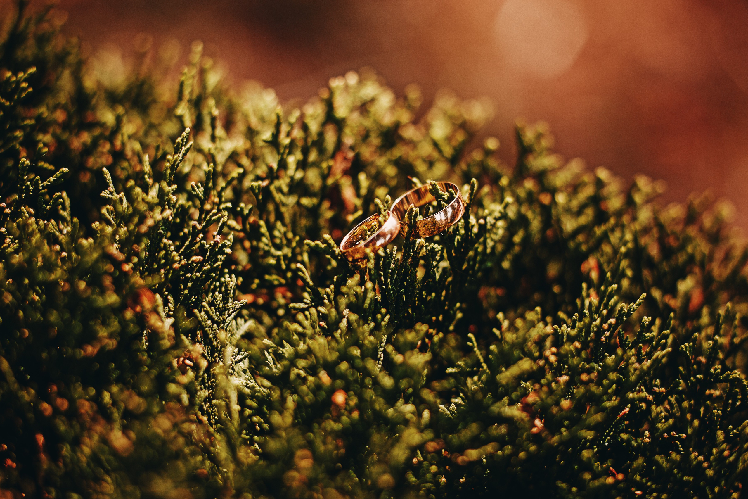 Свадебная фотография в Рыбинске и Ярославле. Фотограф в Ярославле и Рыбинске — Николай Козерин