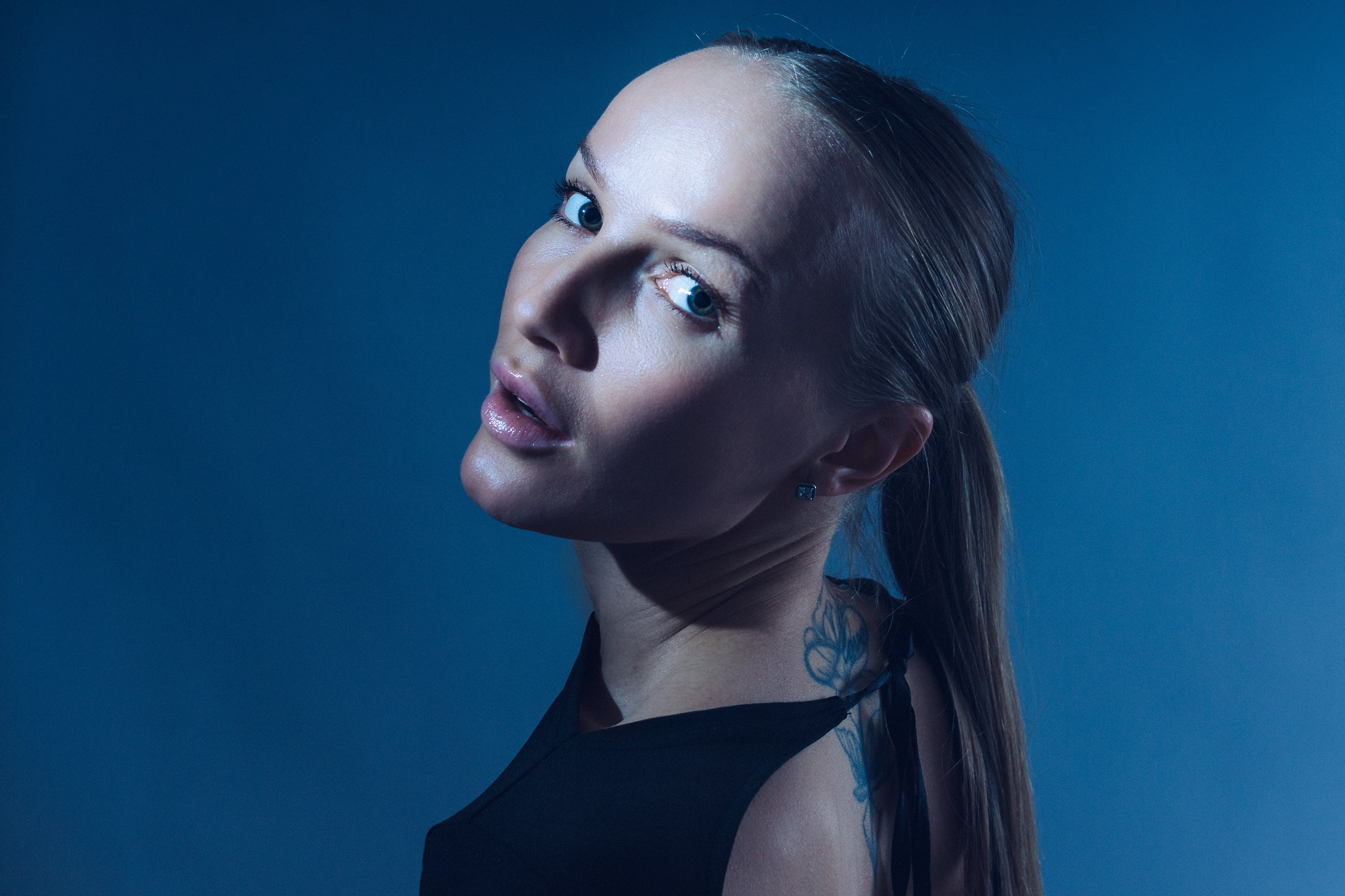 Индивидуальный портрет. Светлана Аброщикова