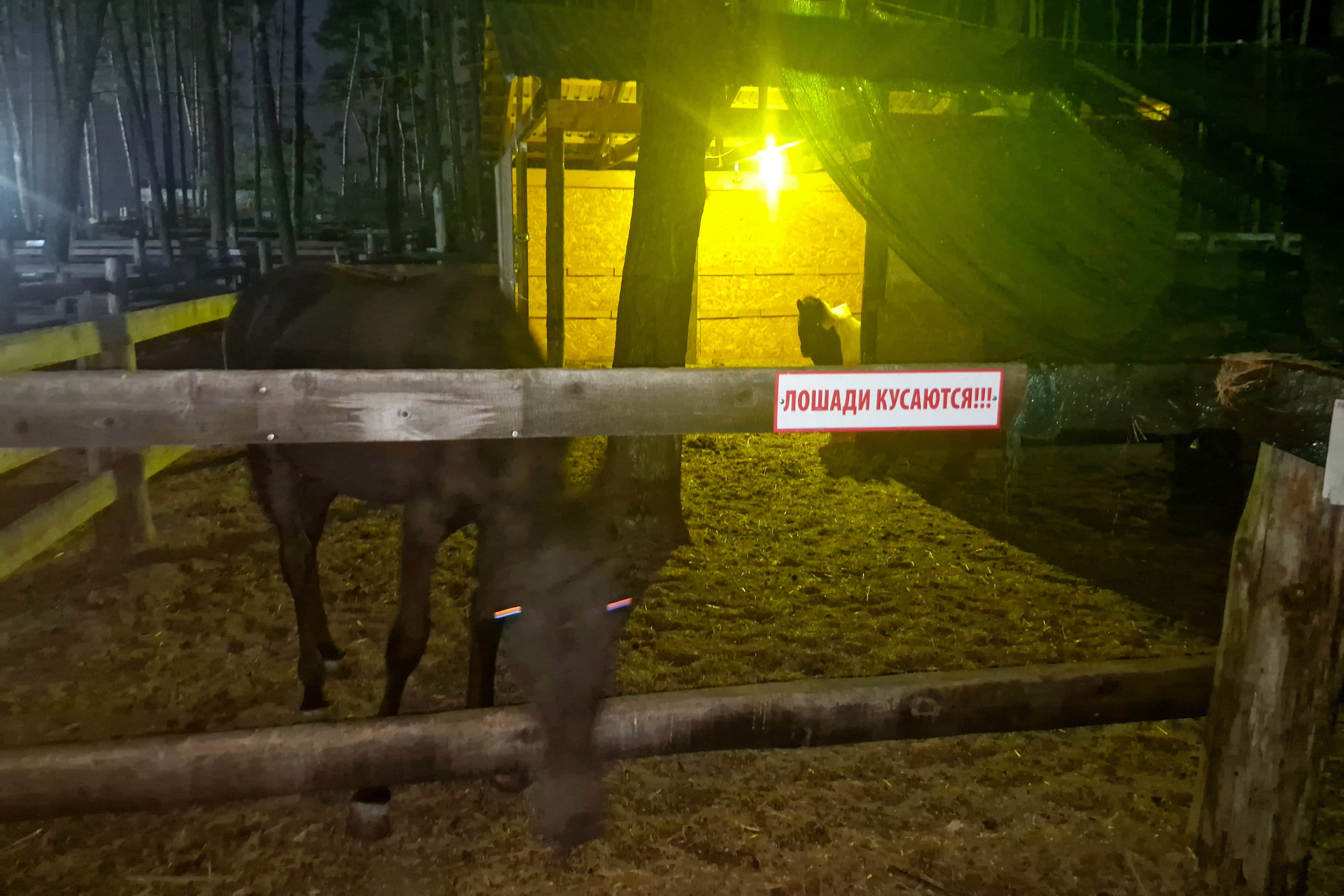 Автор: Денис Слепцов