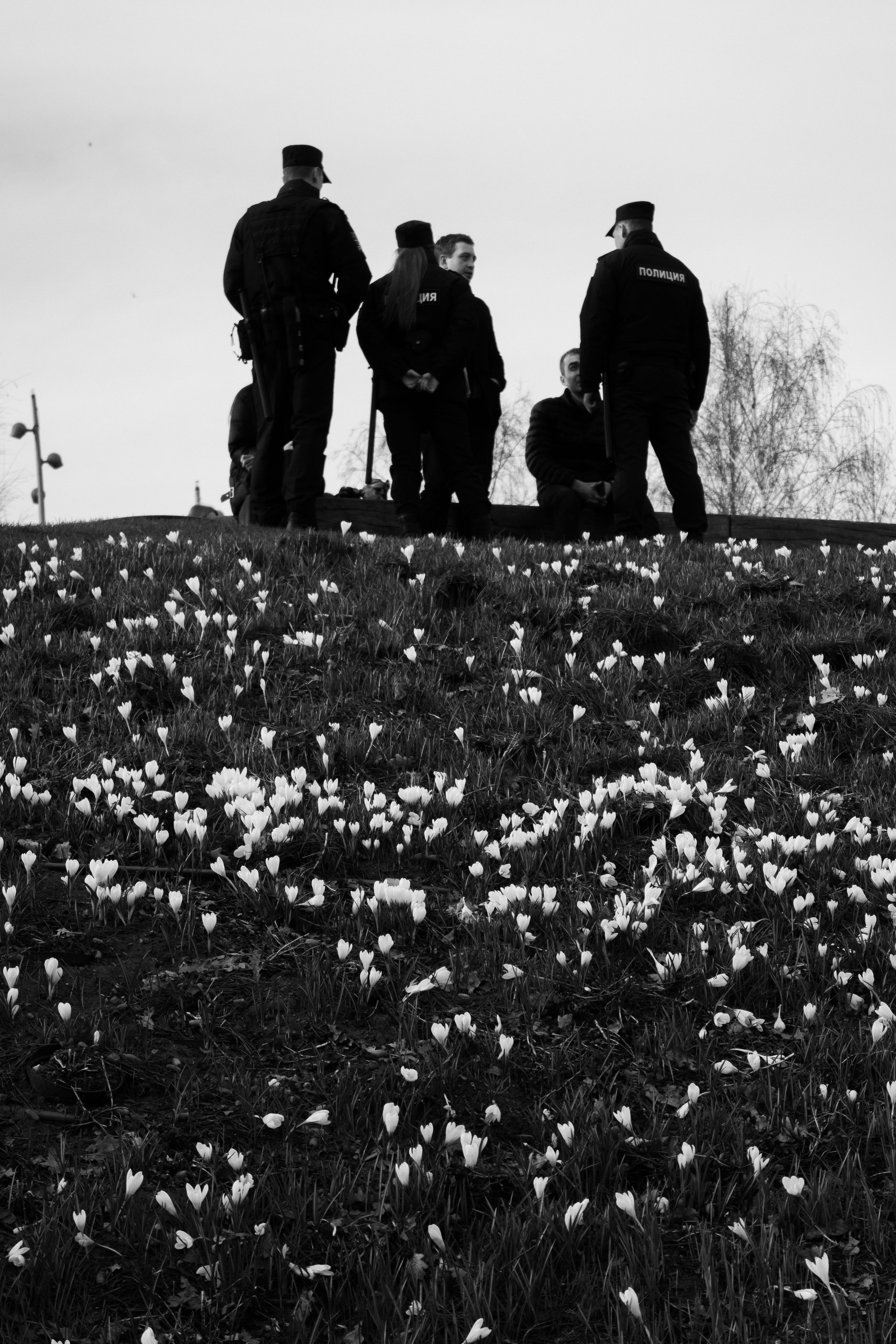 Автор: Кирилл Мочалов