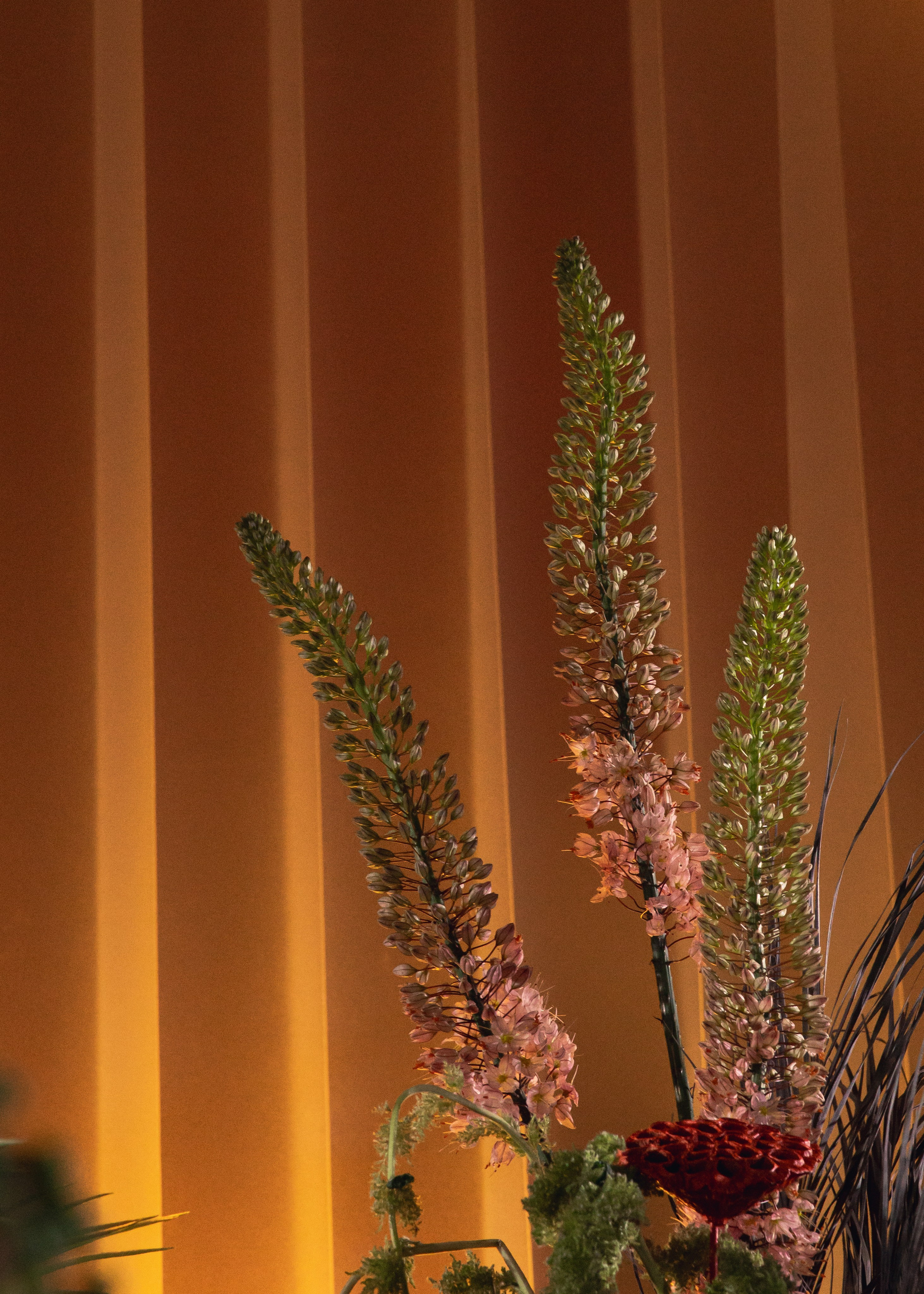 @sladkayavataagency. Свадебный и репортажный фотограф в Москве Владимир Сергеев | Naysaikolo