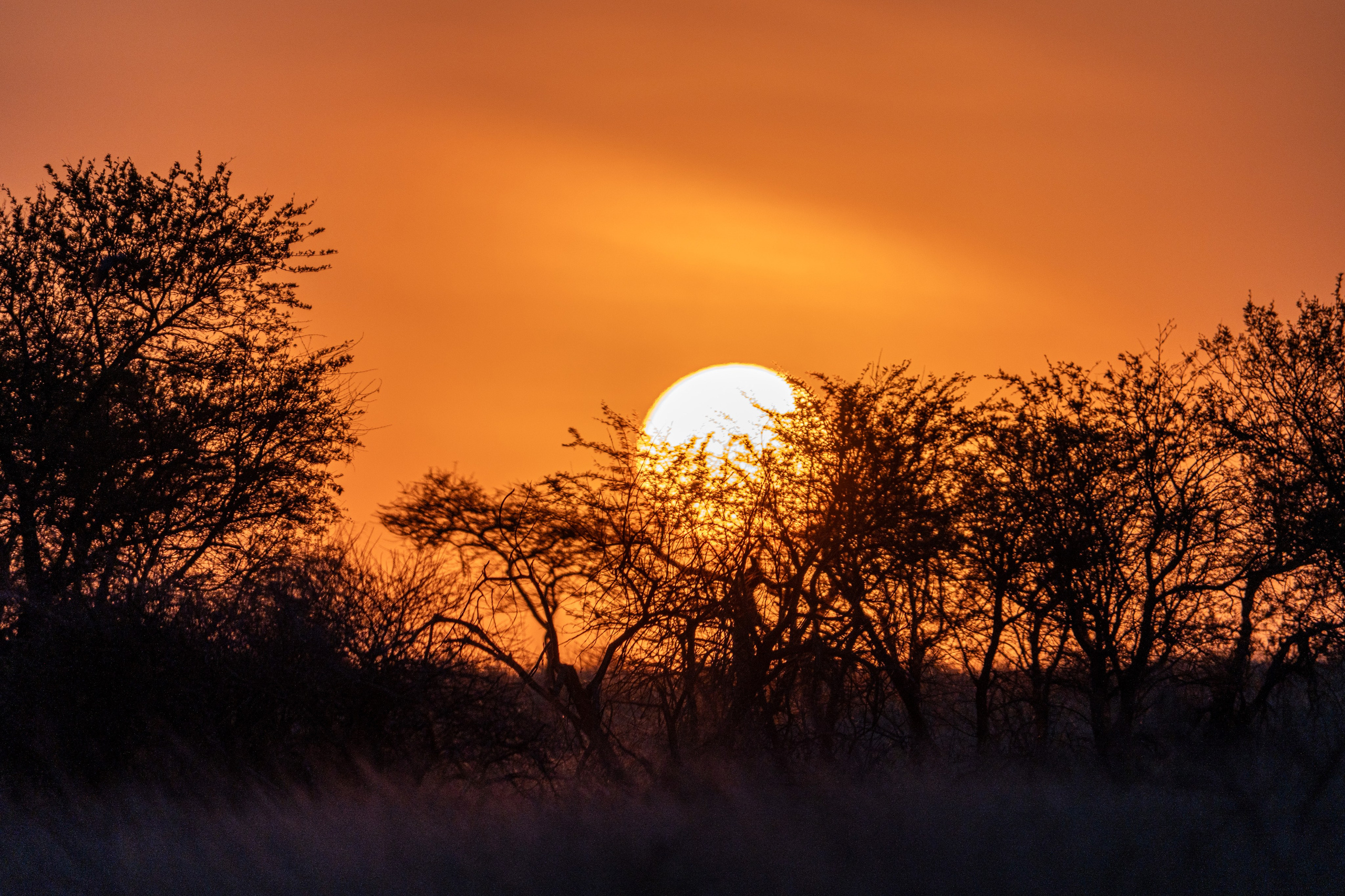 Танзания, сафари, 2025. Творческие сьемки