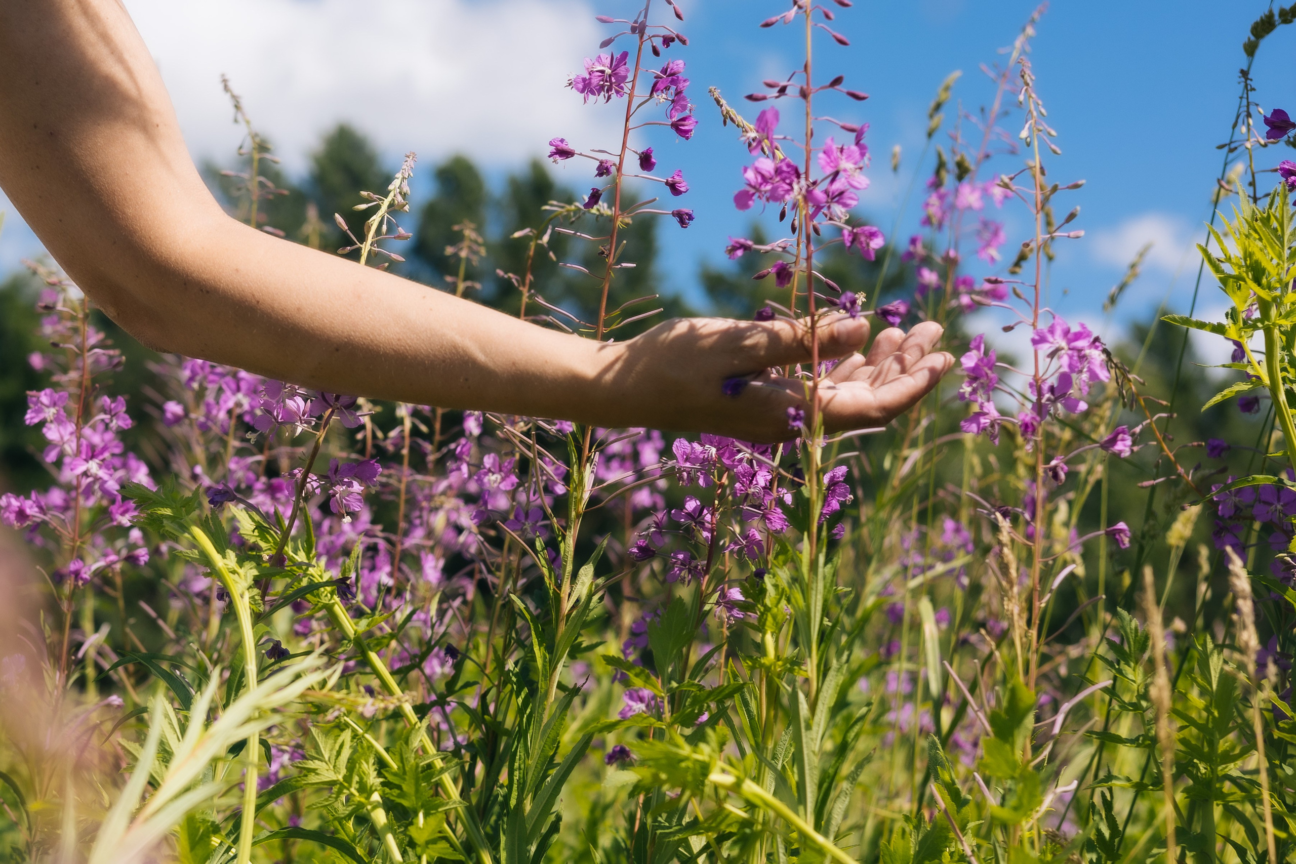 ЮЛЯ ТВОРЧЕСКАЯ. Фотограф Красноярск съемки лавстори, фотосессия в студии, портретная съемка, творческие фотосессии