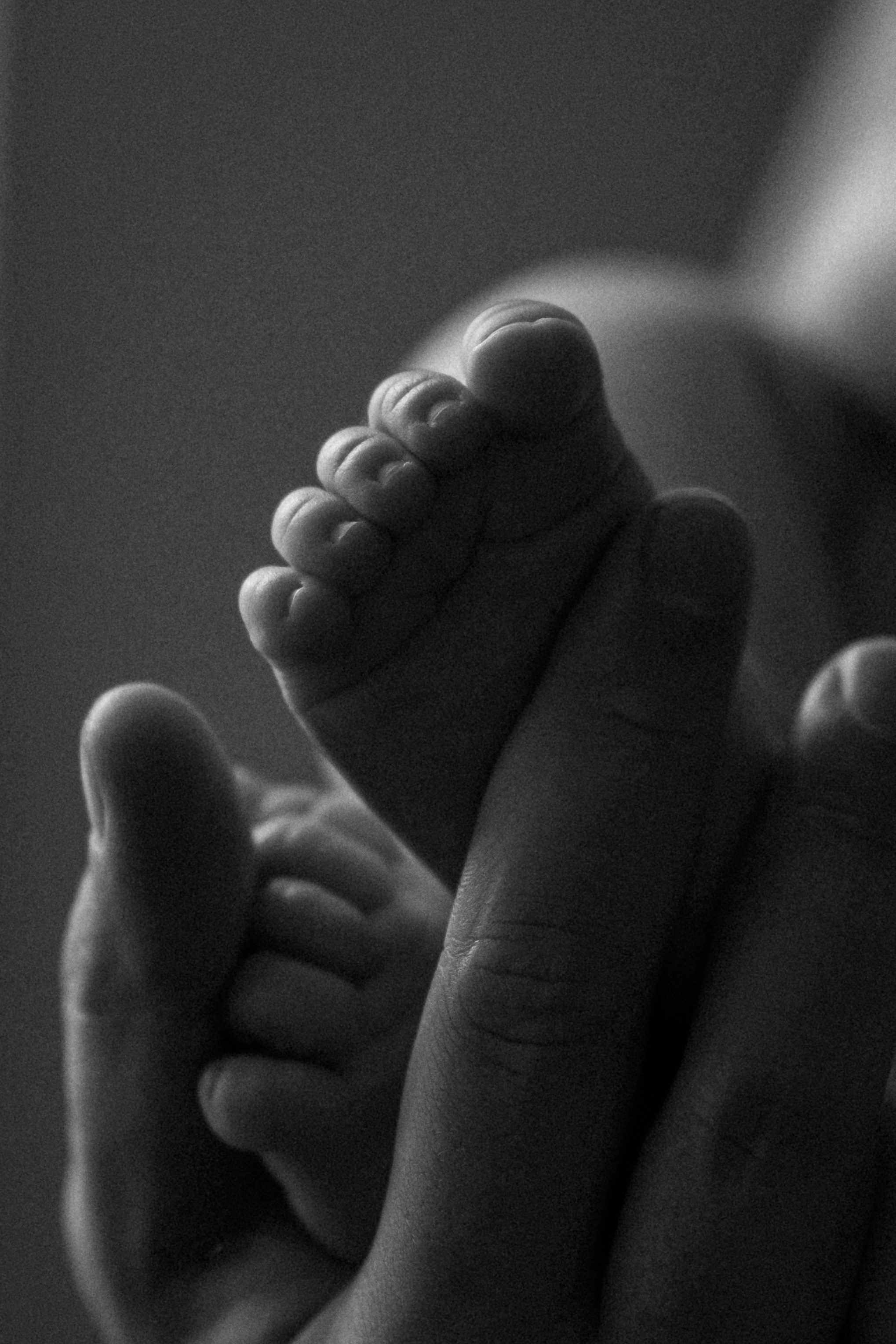 Студийная история. Семейный и детский фотограф Москва Дарья Бугра