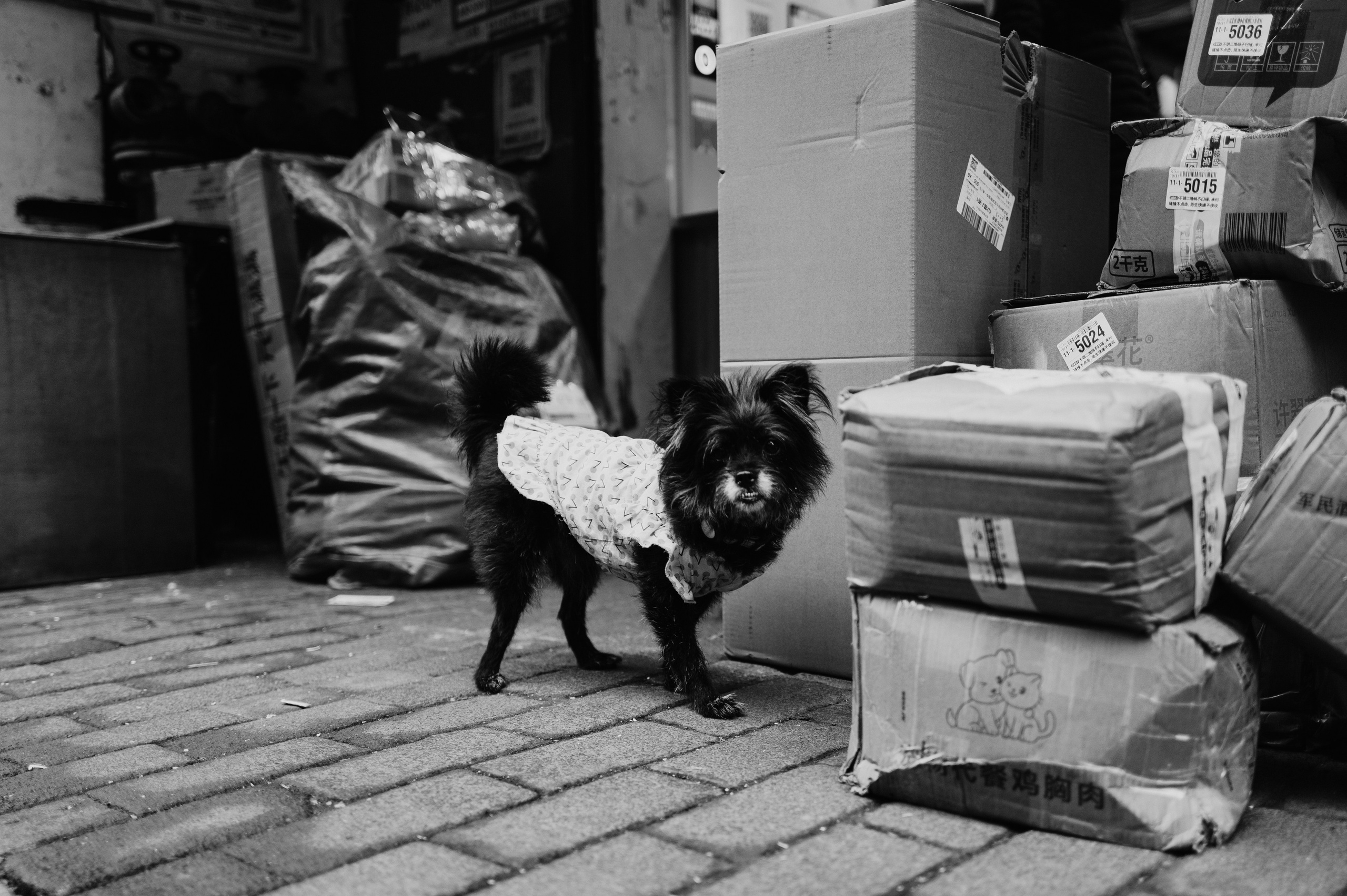 China/Китай. @tomrus: Рустам Шагиморданов — фотограф