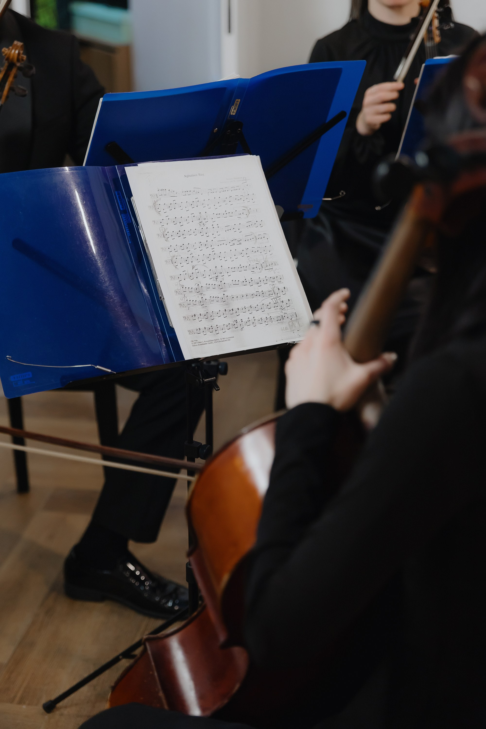 Открытие нового пространства интерьерного салона L. DECO в феврале 2025. L. Deco интерьерный салон. Краски/обои/лепной декор