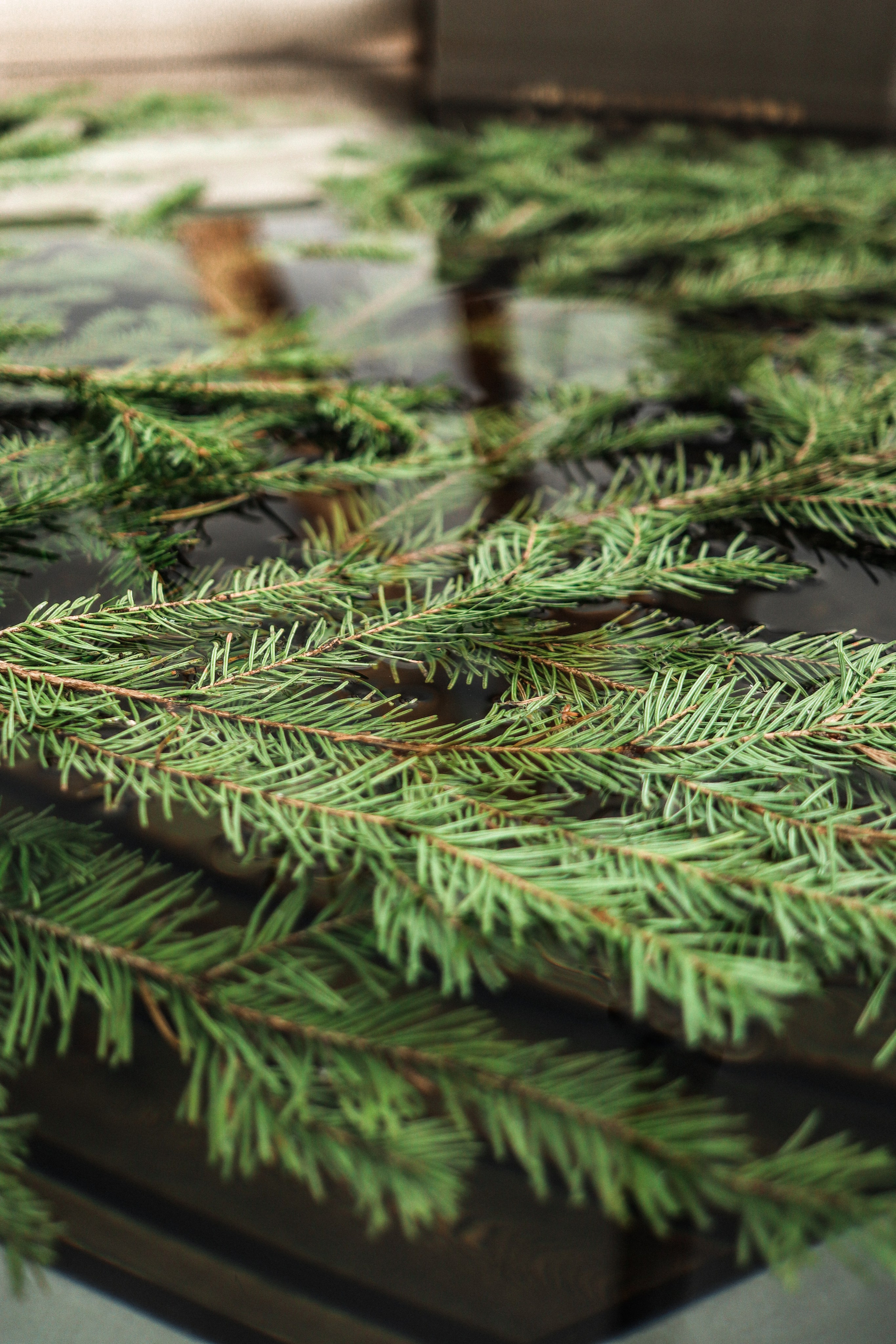 «Воспарение» банный комплекс, респ. Алтай. Контент фотограф Дмитрий Борисов