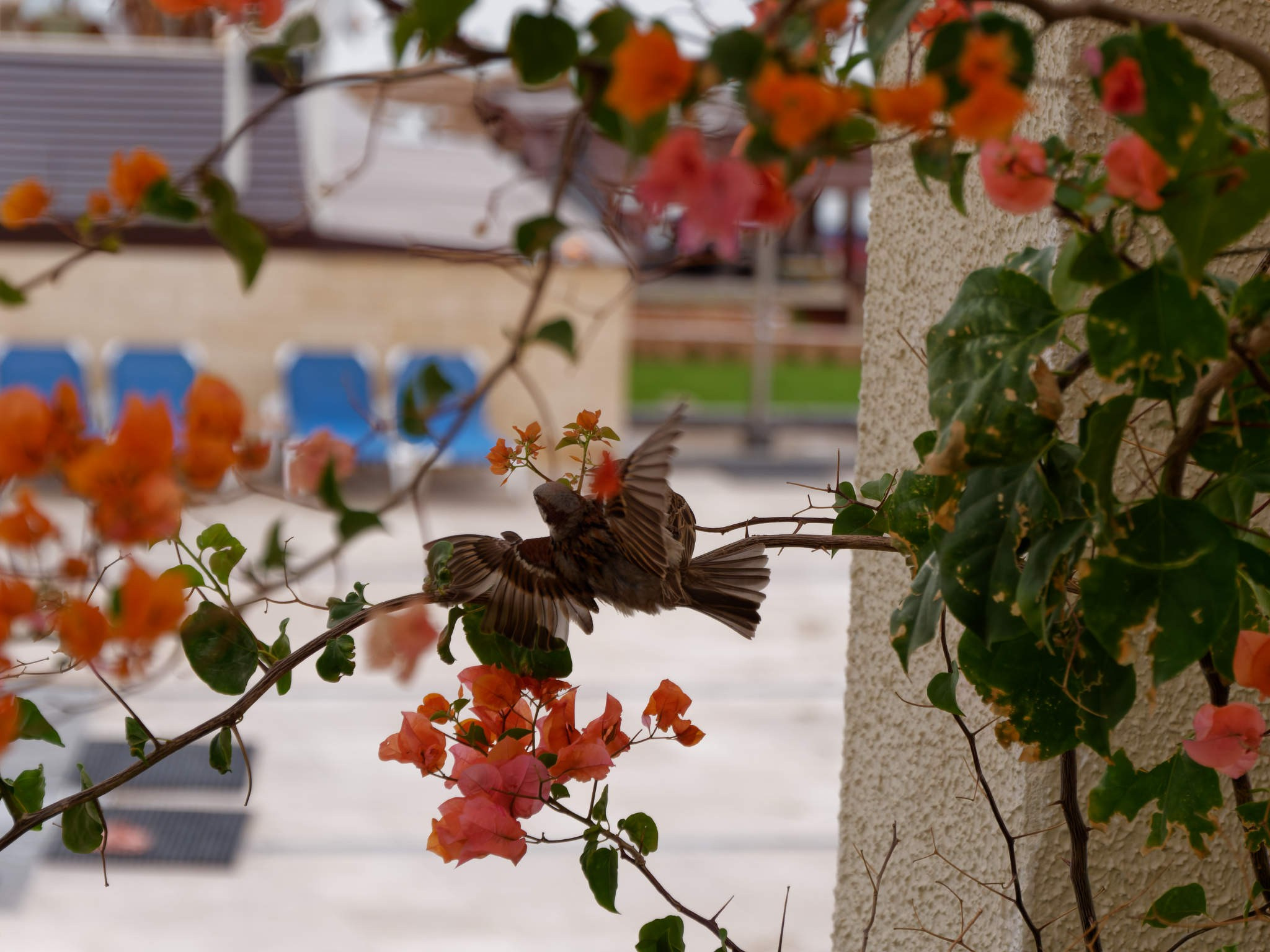Шарм-эль-Шейх 2024. Избранные фотографии
