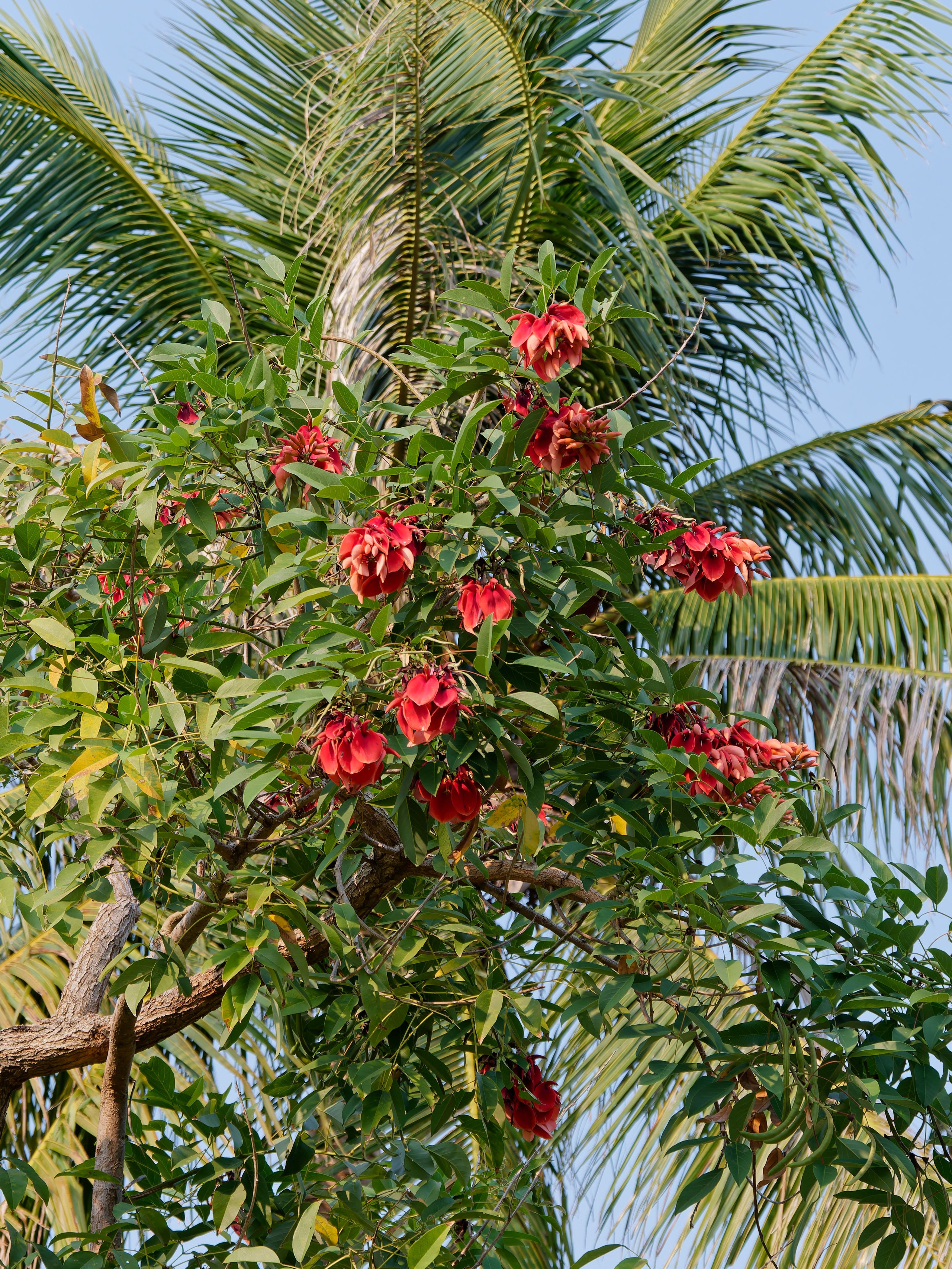 Хайнань 2026, первые впечатления. Фотопрогулки по Миру