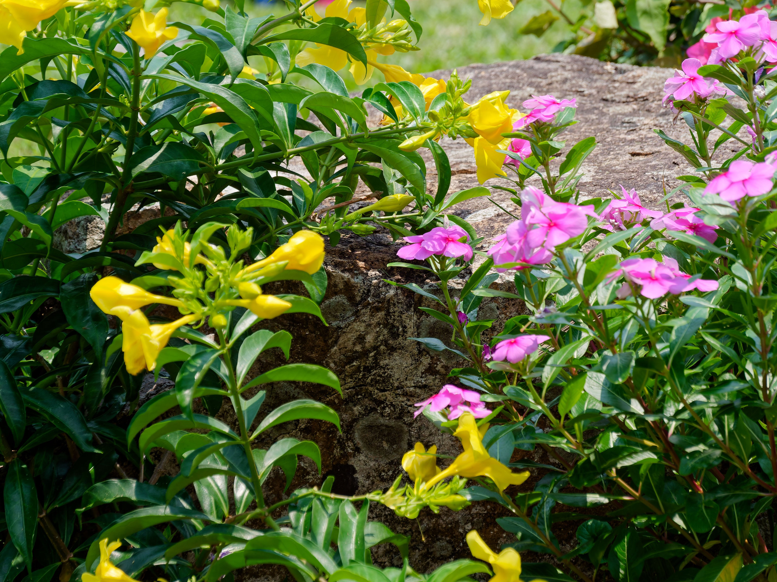 Хайнань 2026, Тур по буддийским храмам. Фотопрогулки по Миру