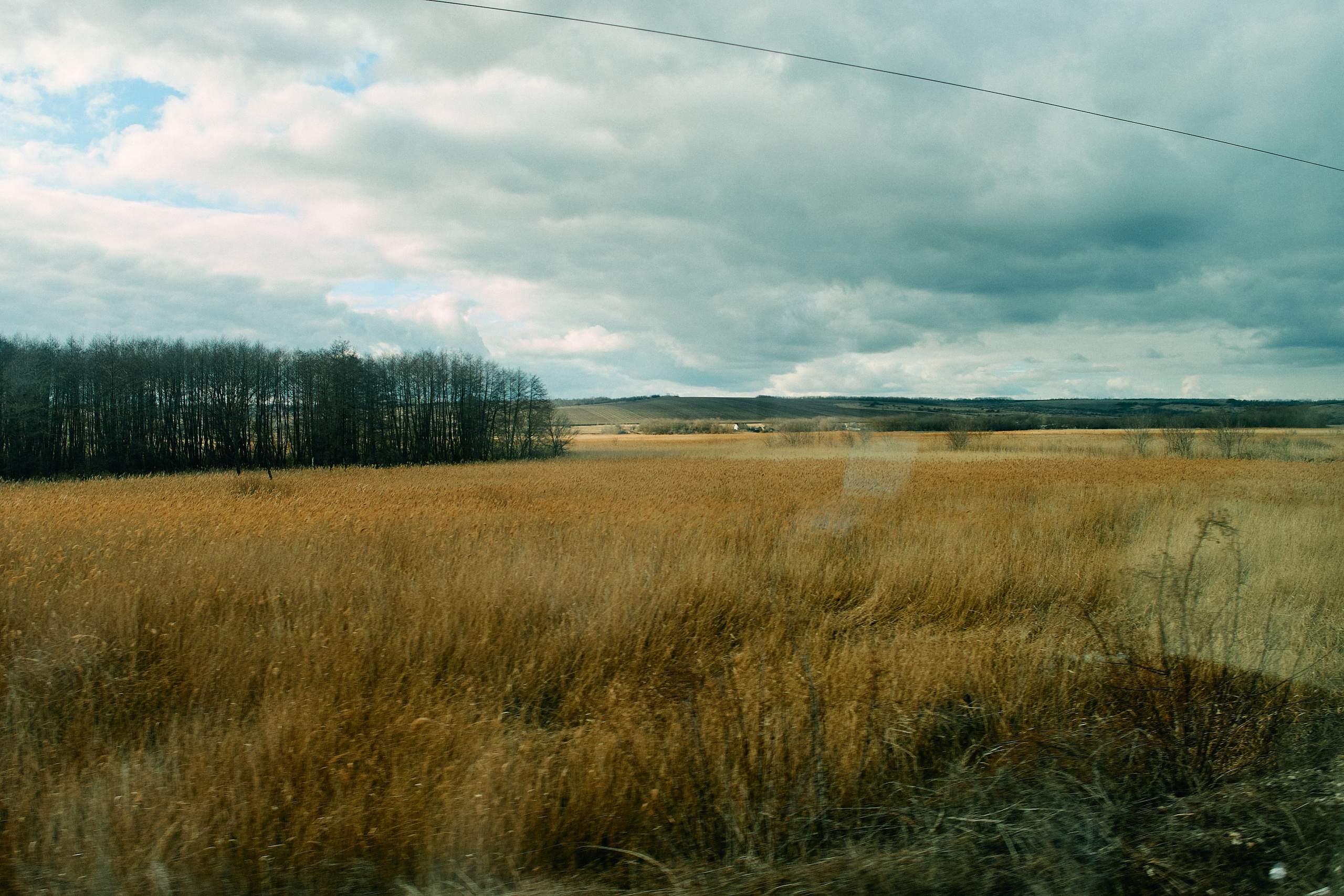 Юг России. Профессиональный Фотограф во Владимире, в Москве и в Суздале — Полина Романычева