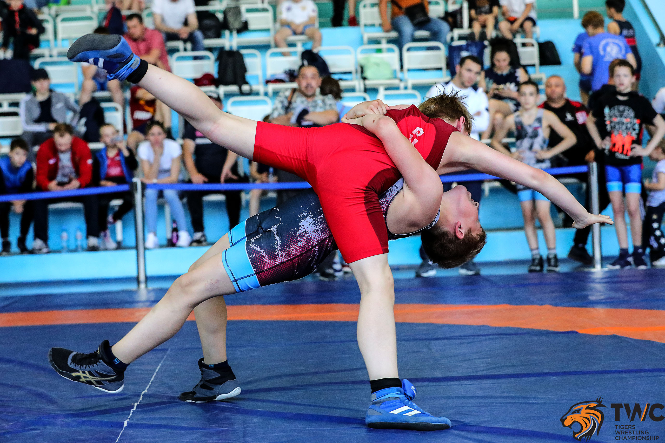 ГРЕКО-РИМСКАЯ БОРЬБА. Репортажный фотограф в Нижнем Новгороде и Москве Ангелина Ильичева