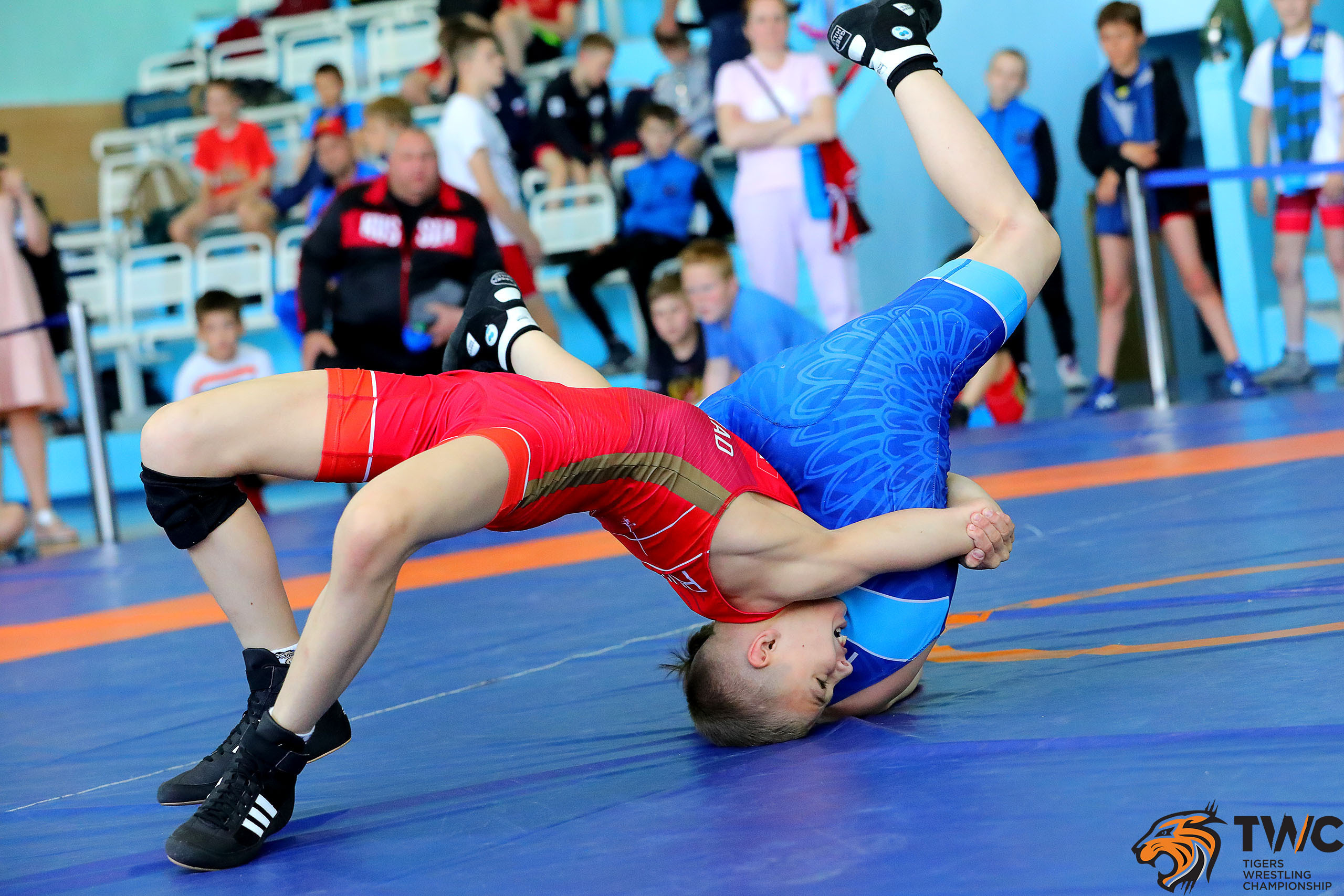 ГРЕКО-РИМСКАЯ БОРЬБА. Репортажный фотограф в Нижнем Новгороде и Москве Ангелина Ильичева