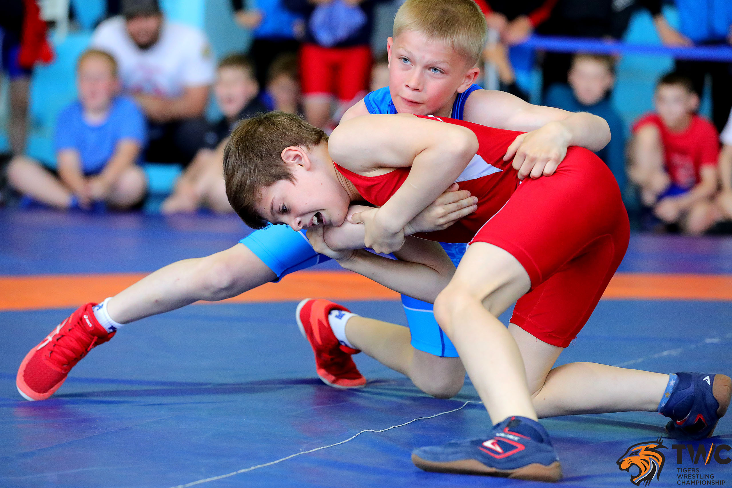 ГРЕКО-РИМСКАЯ БОРЬБА. Репортажный фотограф в Нижнем Новгороде и Москве Ангелина Ильичева
