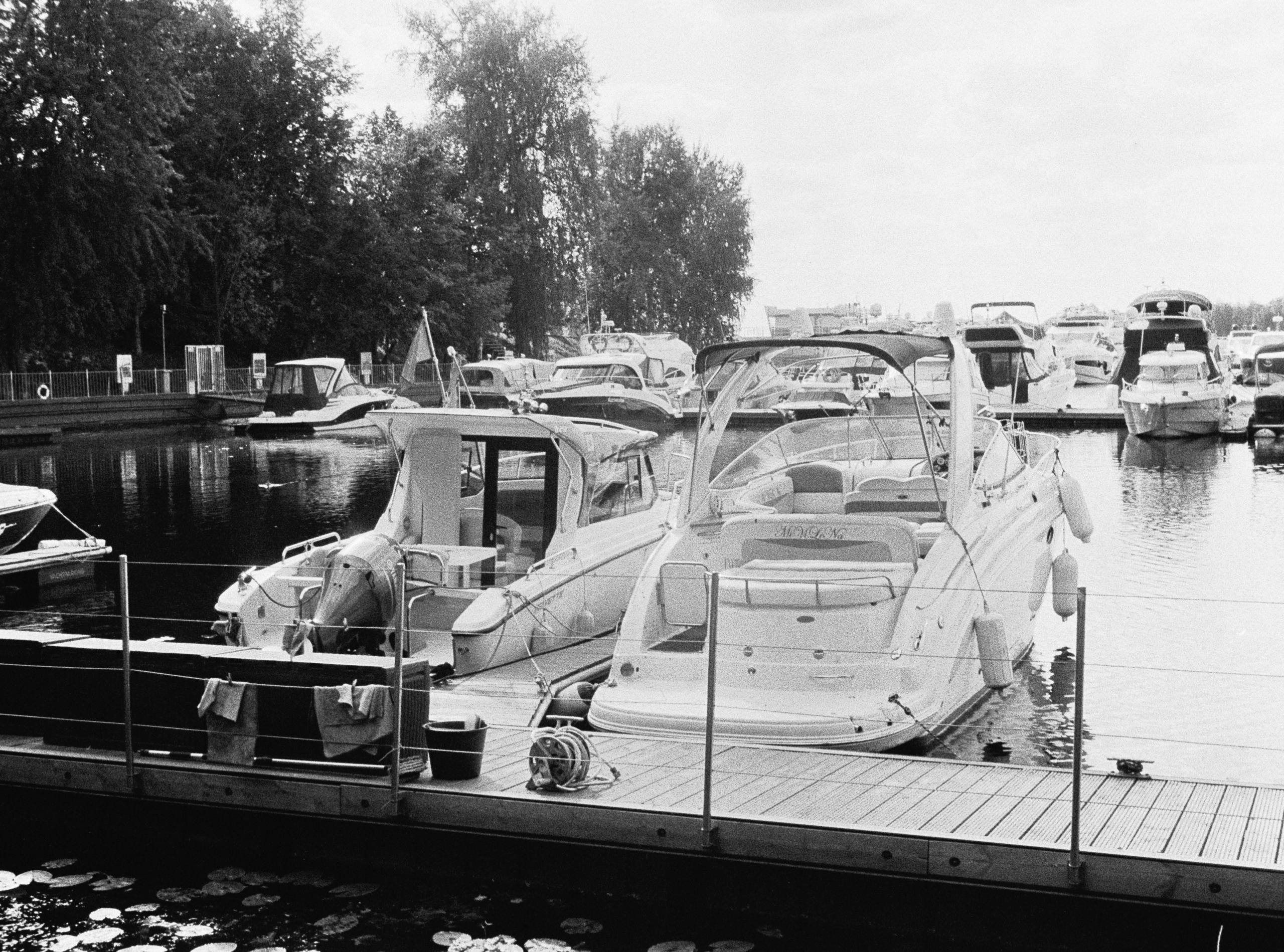 Роскошь. Сергей Новиков Фотограф Москва