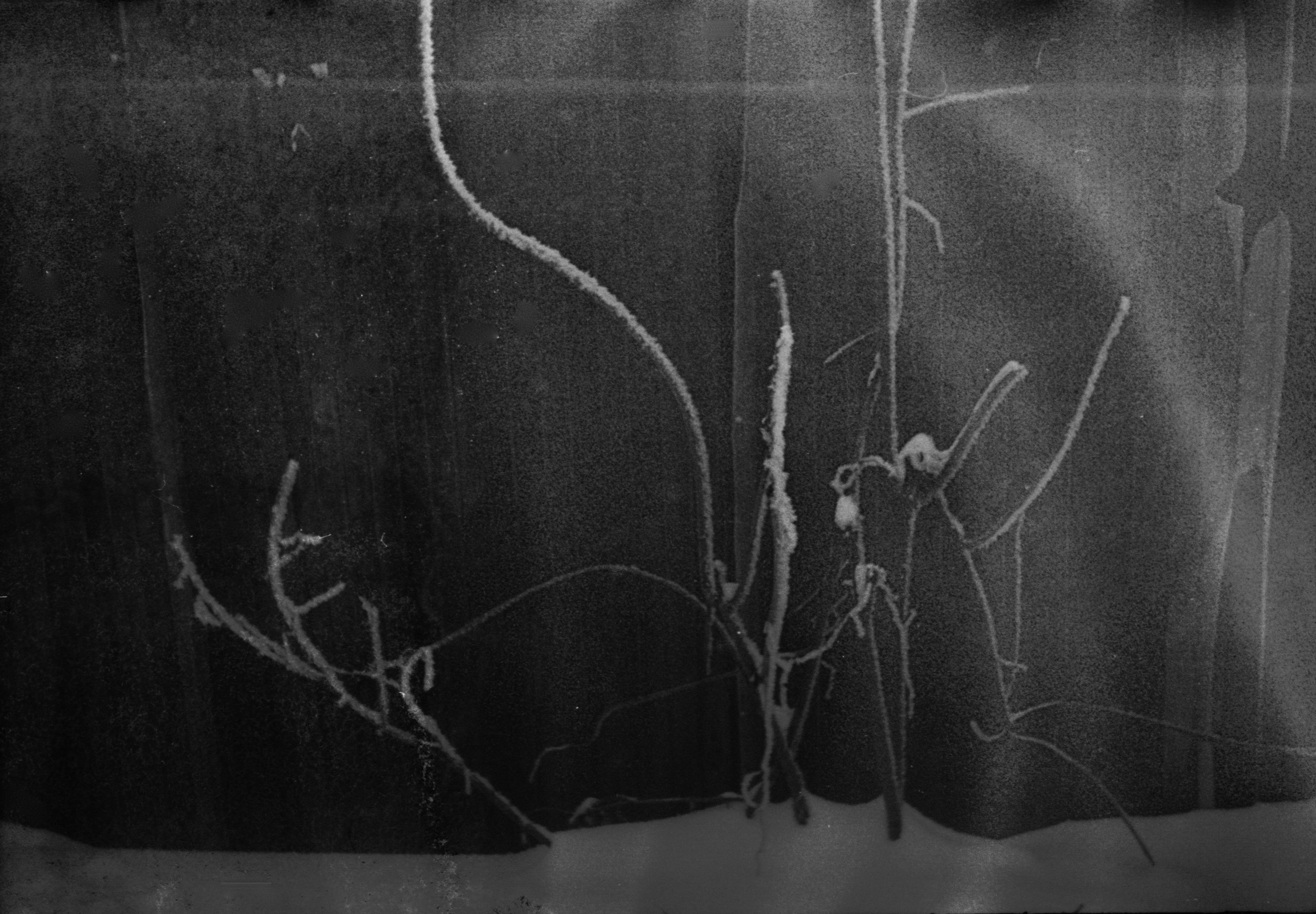 Татьяна Белякова — Фотохудожник | Концептуальная аналоговая фотография