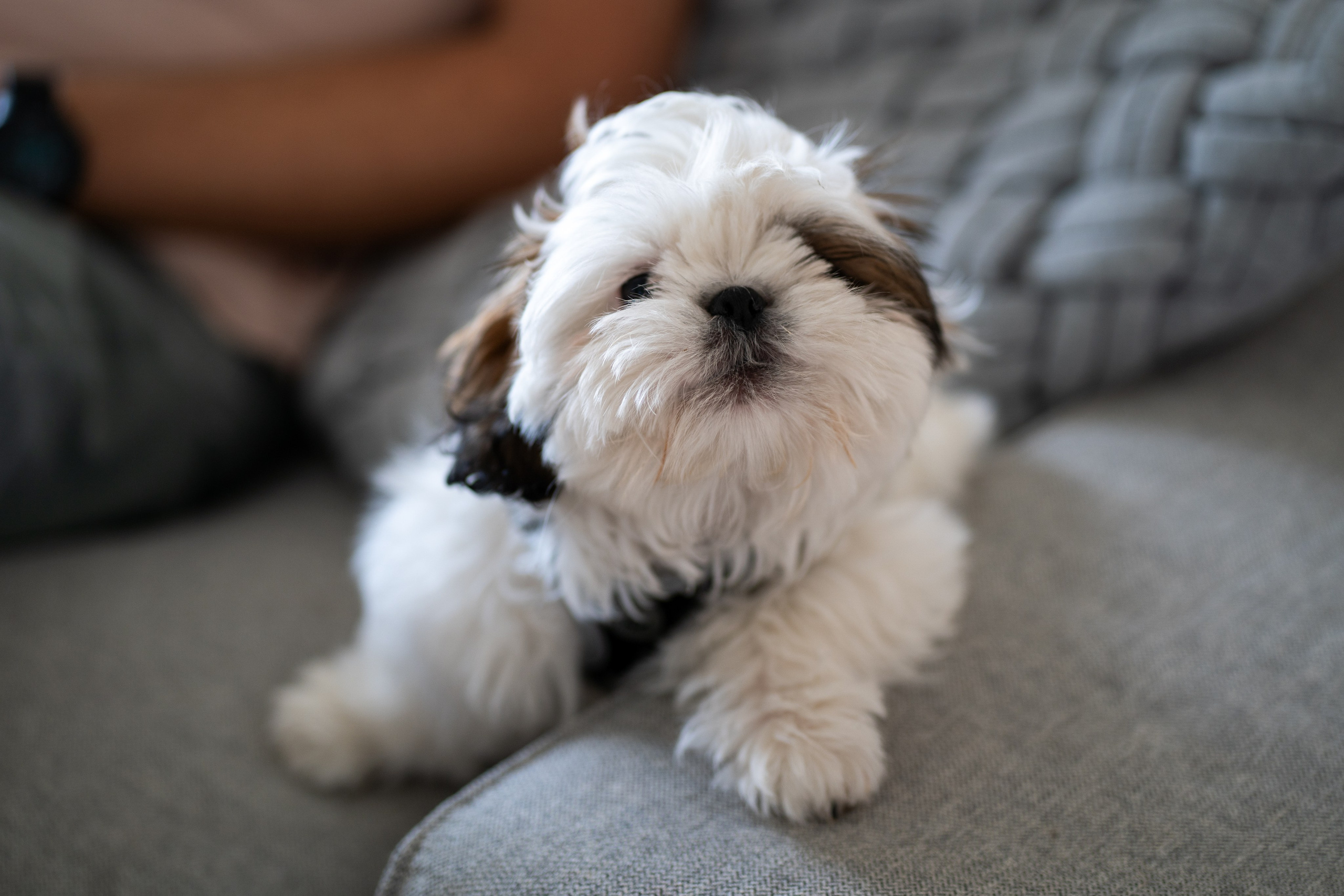 Ella. Семейный и детский фотограф в Израиле и Москве Дорошок Надя