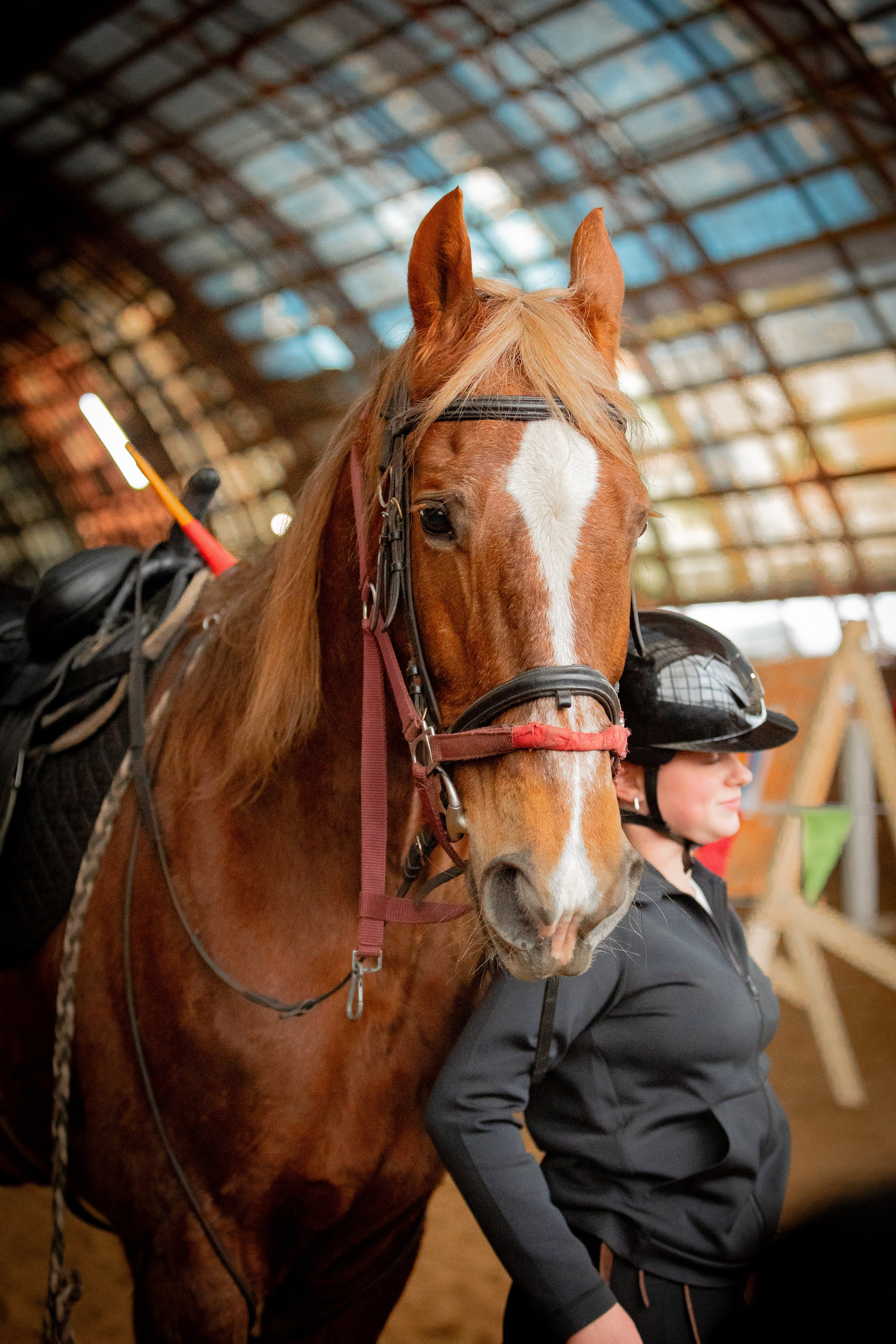 Отзывы. Ваш фотограф в Москве и области Юлия