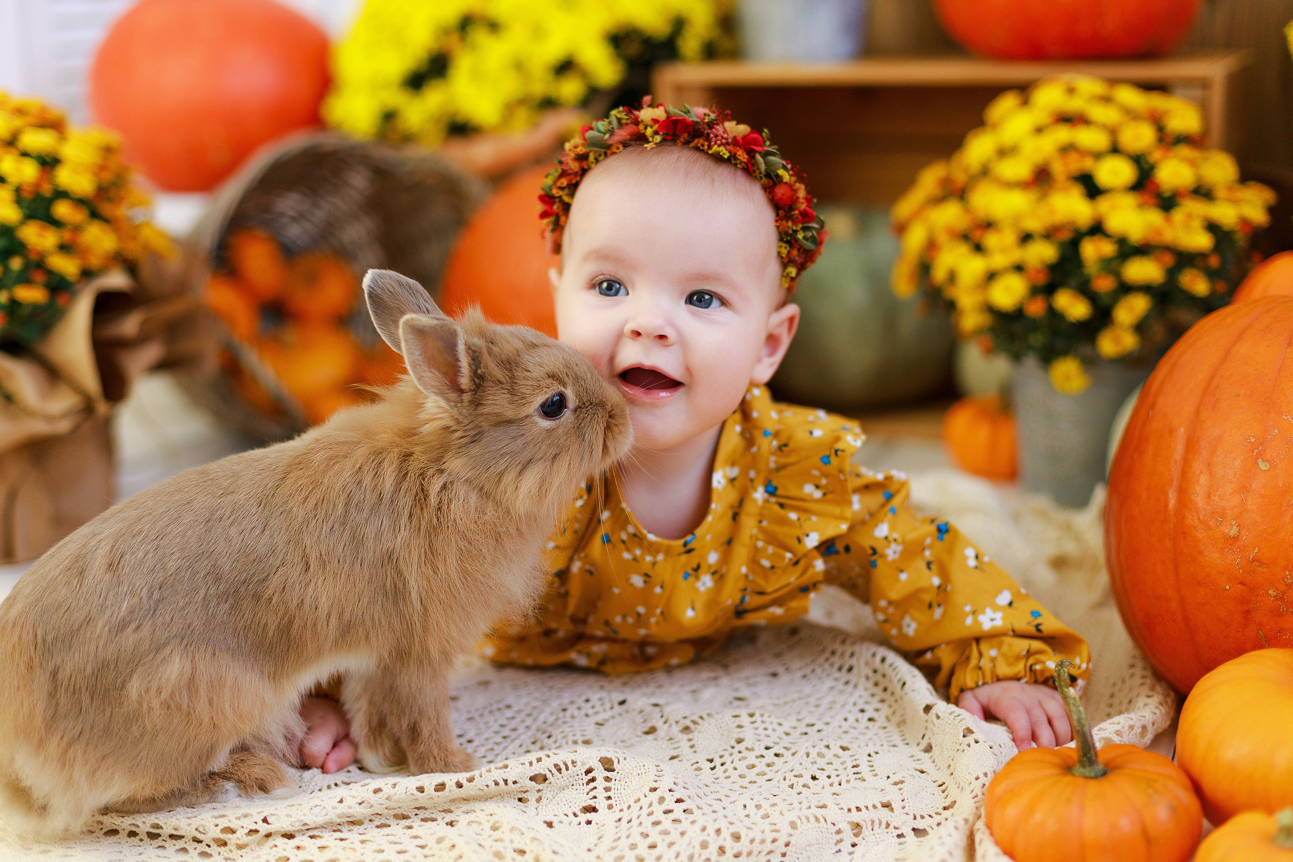 Осенняя детская фотосессия с тыквами и кроликом в Краснодаре. Детский и семейный фотограф в Краснодаре Альбина Морозова