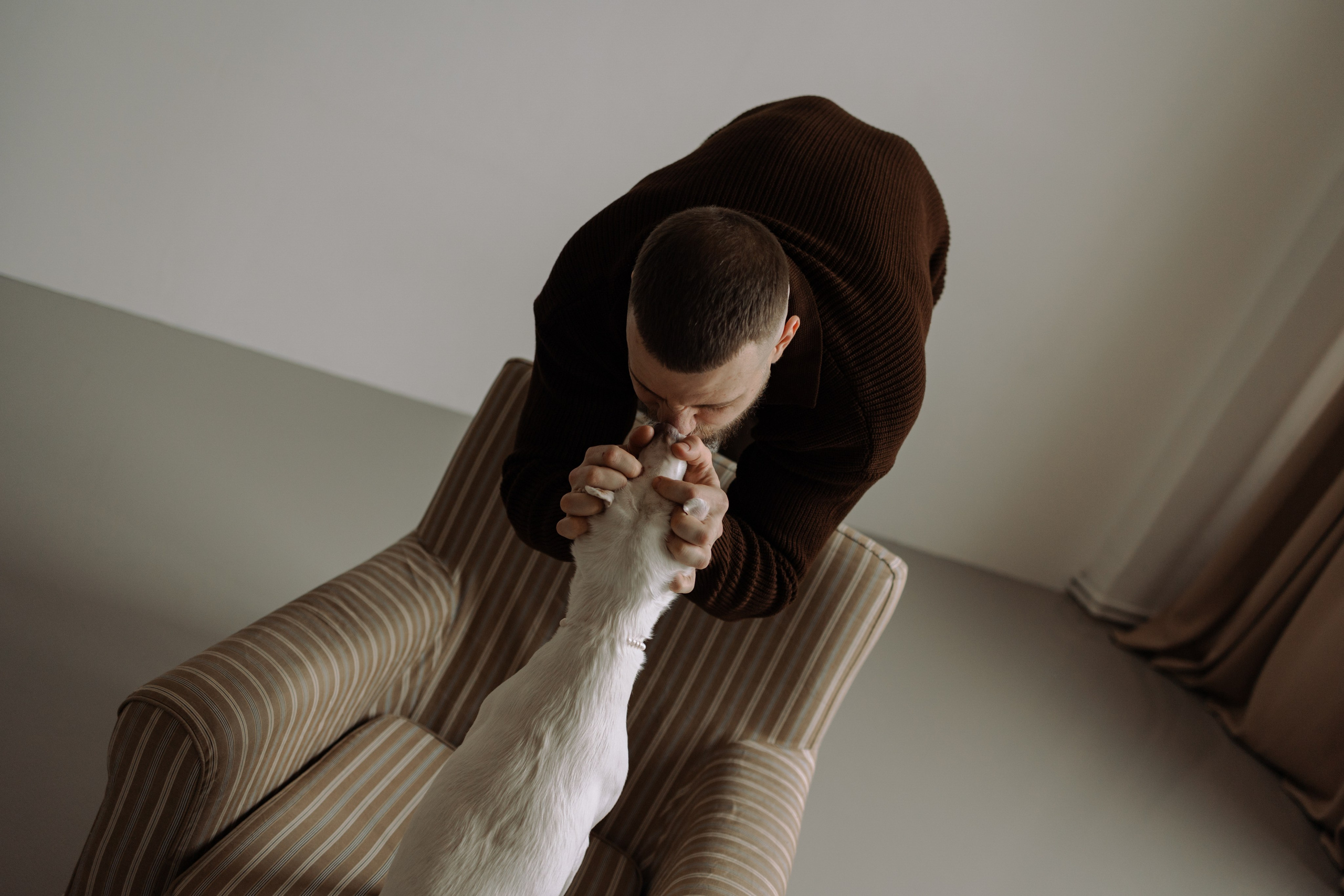 Луна и ее семья. Фотограф — Анималист | Санкт-Петербург