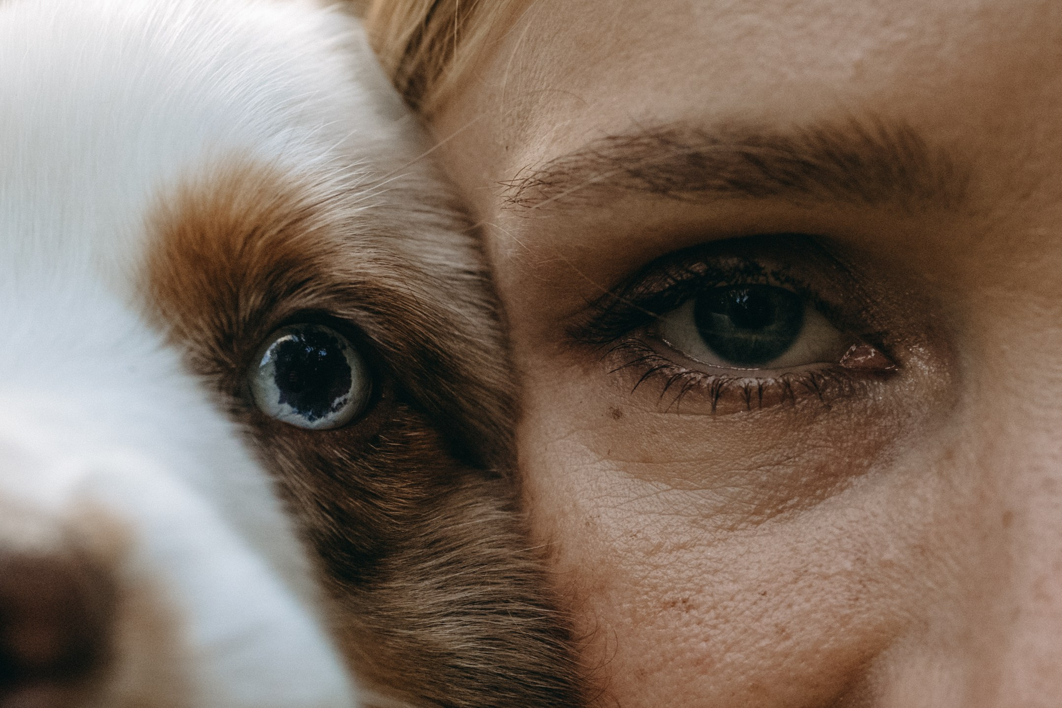 Маша и Эклер. Фотограф — Анималист | Санкт-Петербург